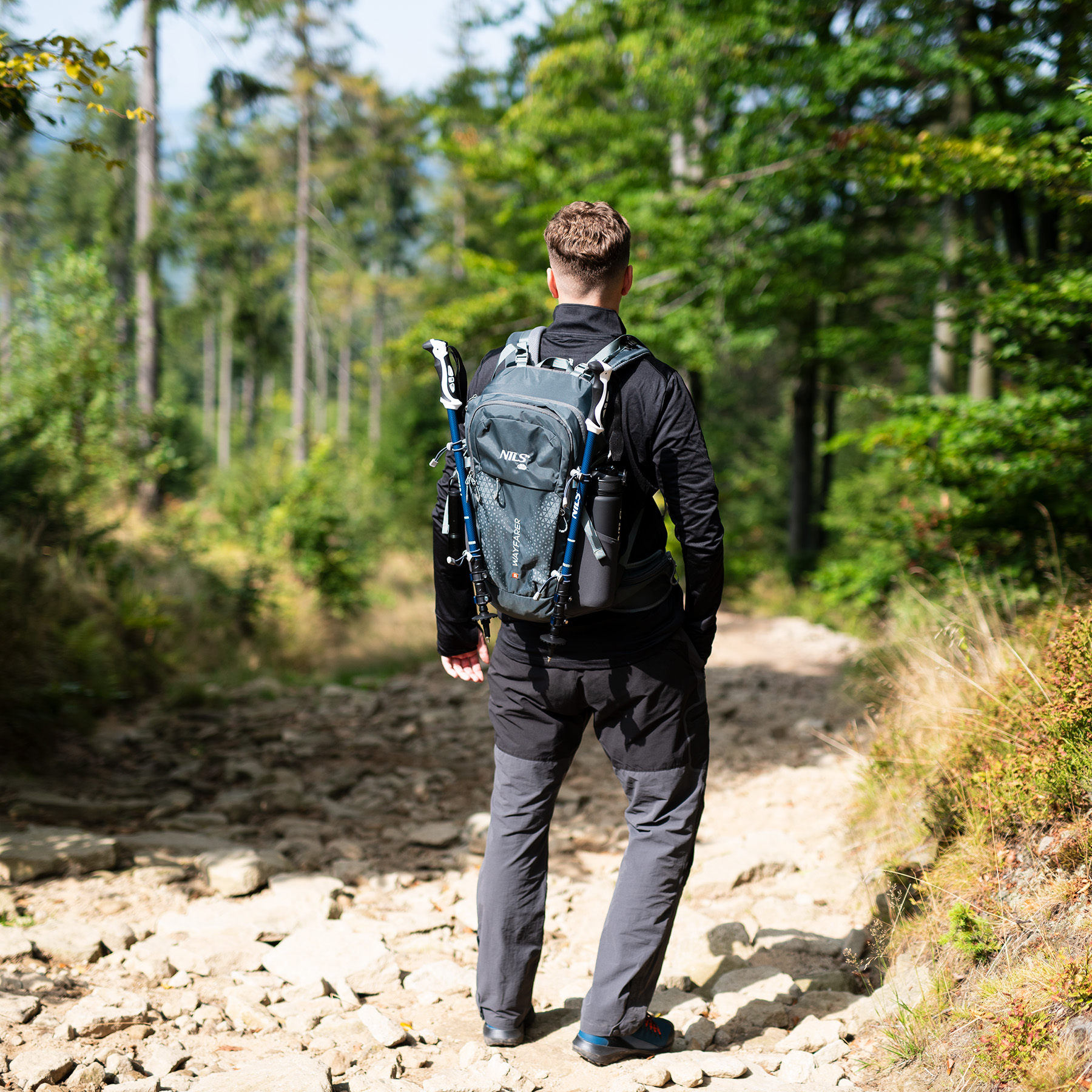 Wędrowiec z plecakiem i kijkami trekkingowymi stoi na kamienistej leśnej ścieżce, widziany od tyłu.
