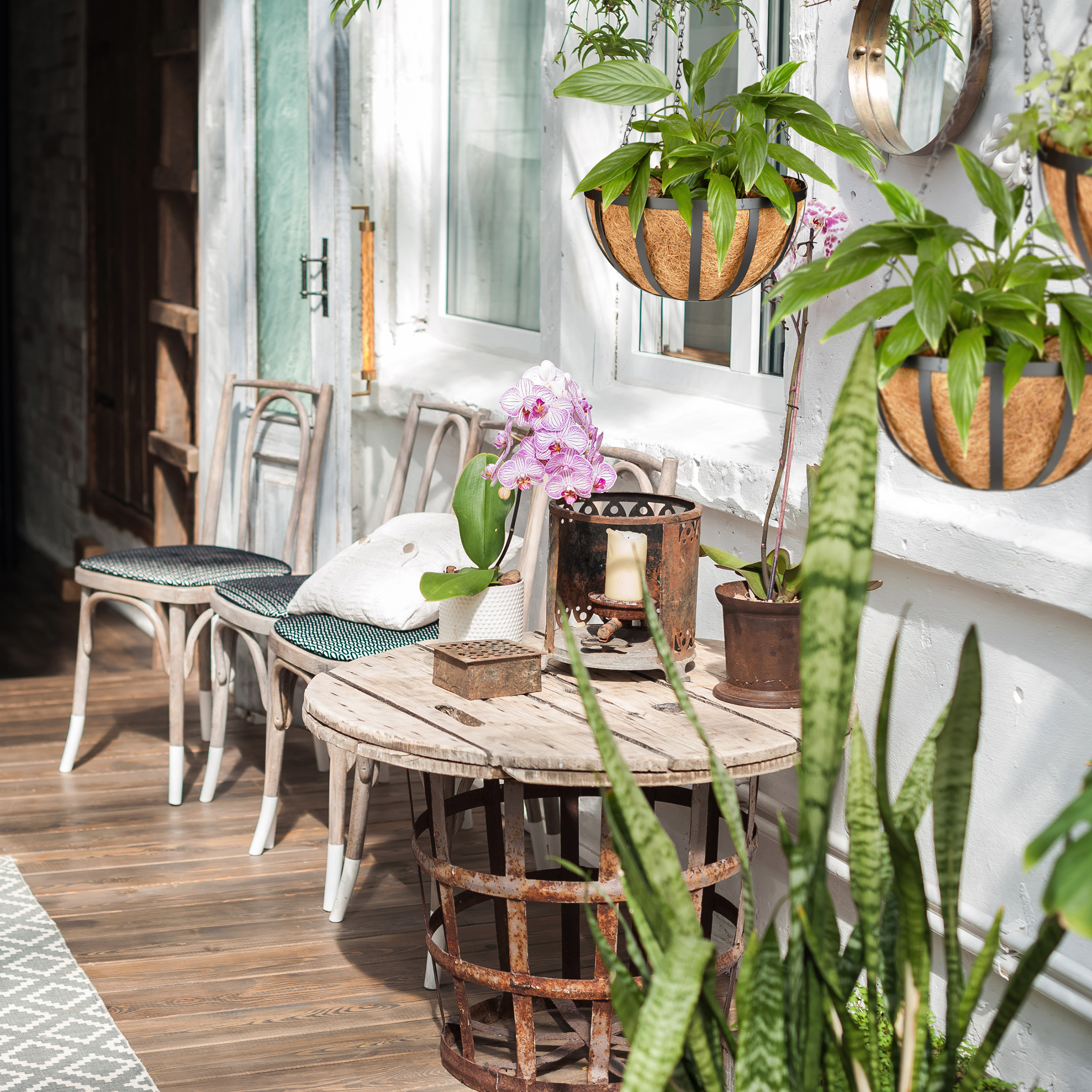 Eine sonnige Holzveranda mit rundem Tisch, Stühlen, rosa Orchideen, Topfpflanzen und weißen Wänden.