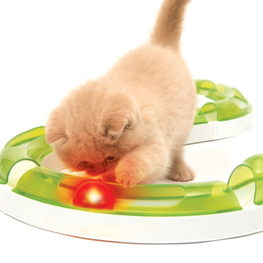 Un pequeño gatito beige juega con una bola roja iluminada en una pista de juguete verde y blanca.