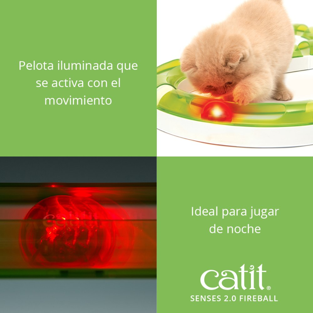 Un gatito juega con una bola roja brillante en una pista verde, ideal para jugar de noche por Catit.
