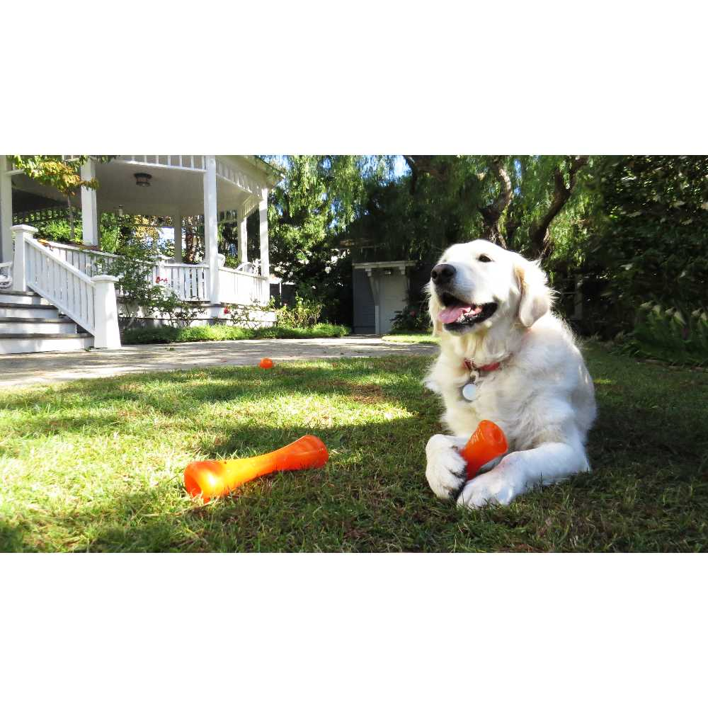 Un feliz Golden Retriever está tumbado en el césped sosteniendo un juguete naranja frente a una casa blanca.