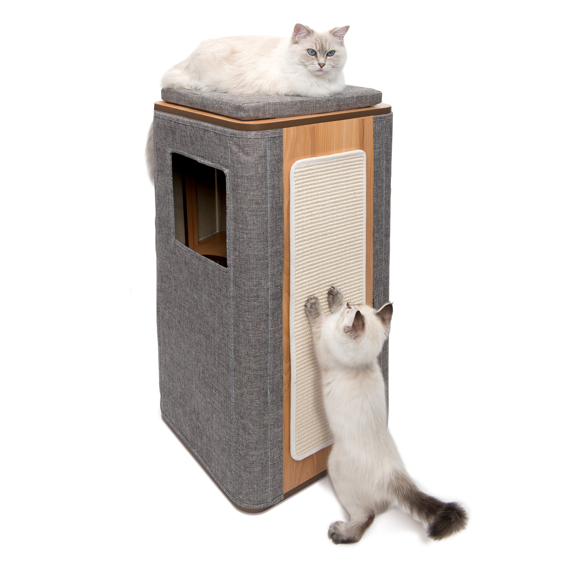 Dos gatos blancos con ojos azules interactúan con un árbol para gatos alto de color gris y madera sobre fondo blanco.