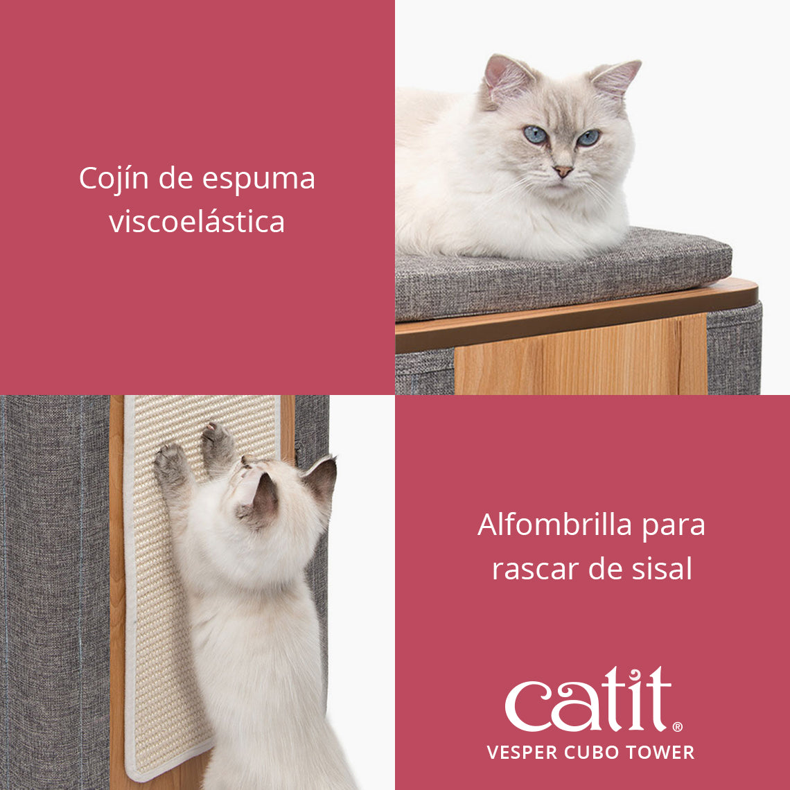 Un gato descansa en un cojín y otro rasca una alfombrilla de sisal en una torre Catit.