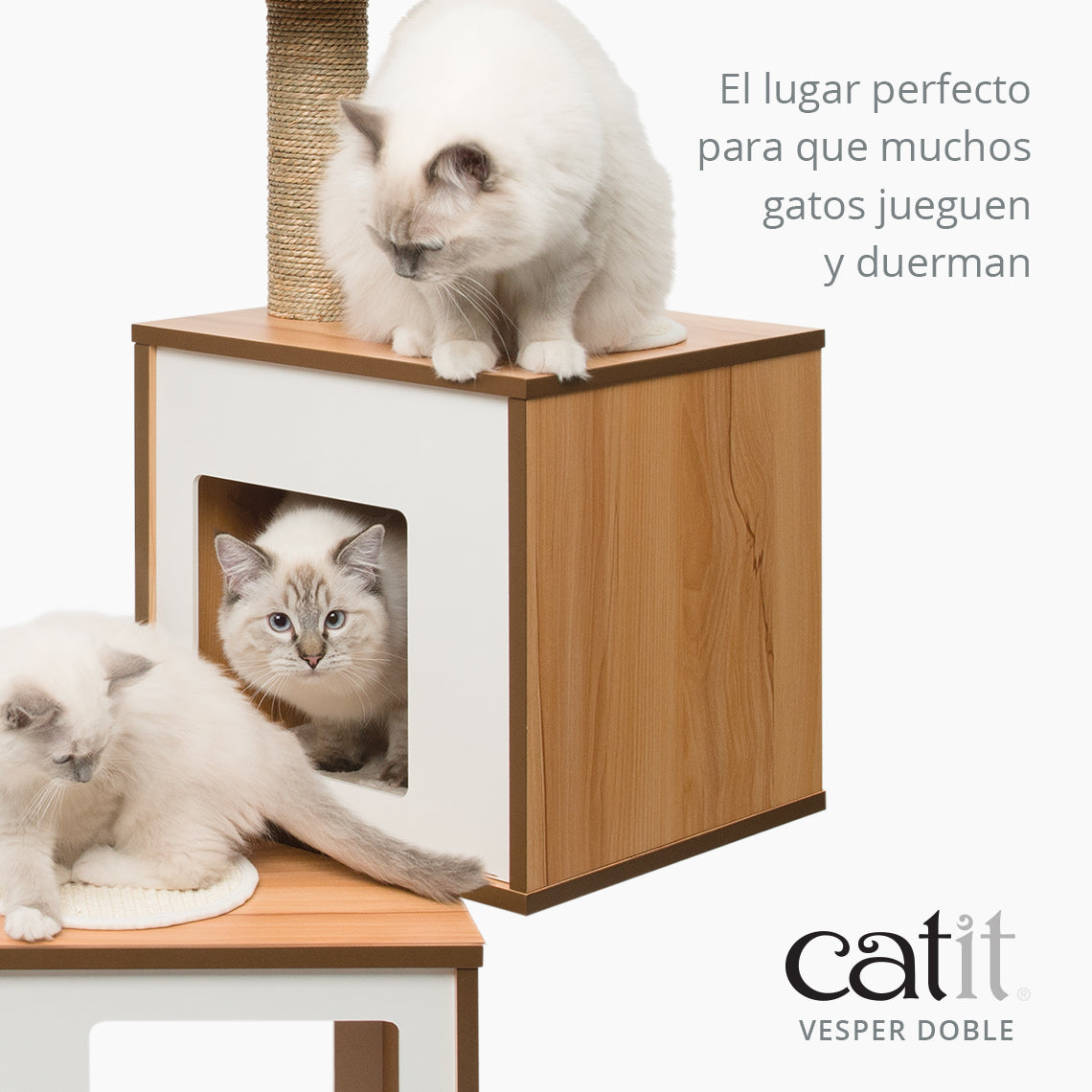 Tres gatos blancos en un rascador de madera moderno con texto publicitario en español y logotipo de Catit.