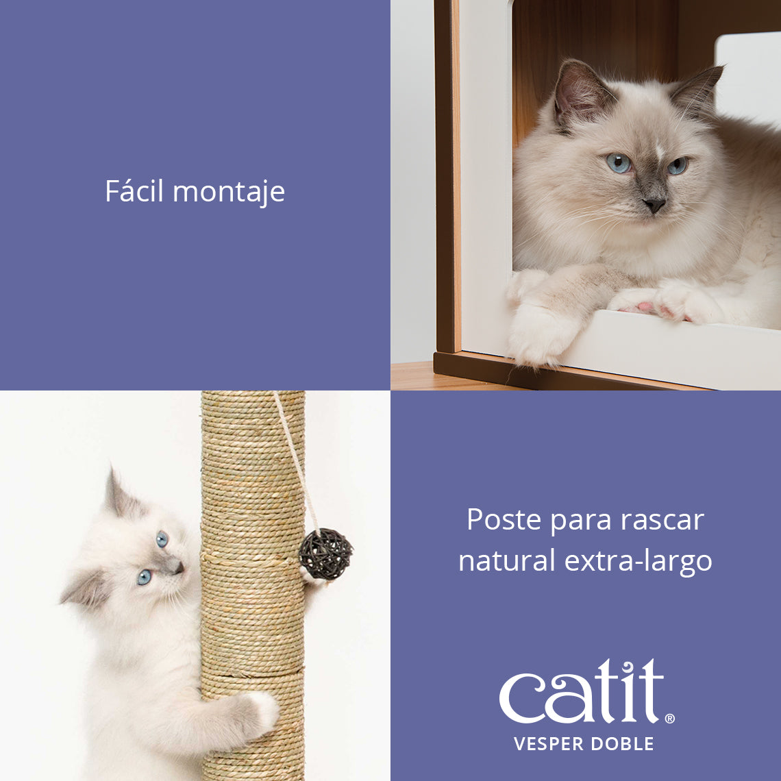 Un gato peludo en un refugio de madera y otro jugando con un rascador, con texto promocional.