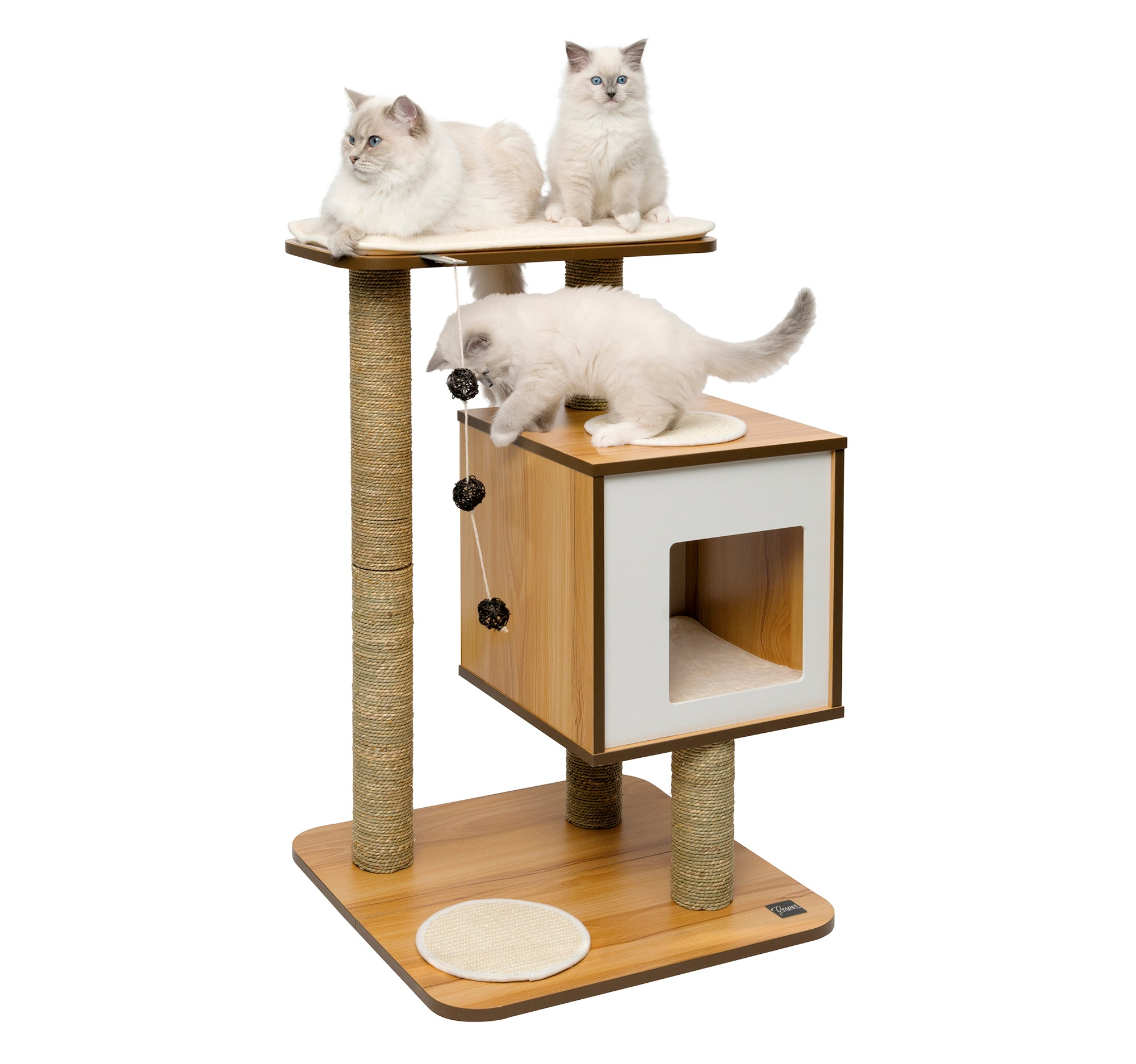 Tres gatos blancos sobre y dentro de un árbol para gatos de madera moderno sobre fondo blanco.