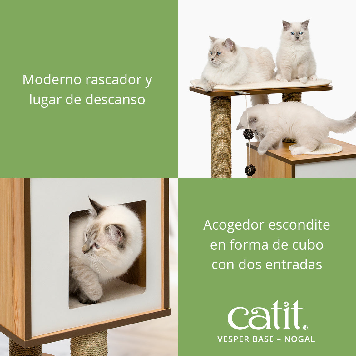 Tres gatitos blancos interactúan con un rascador de madera que incluye plataformas, postes y escondites.