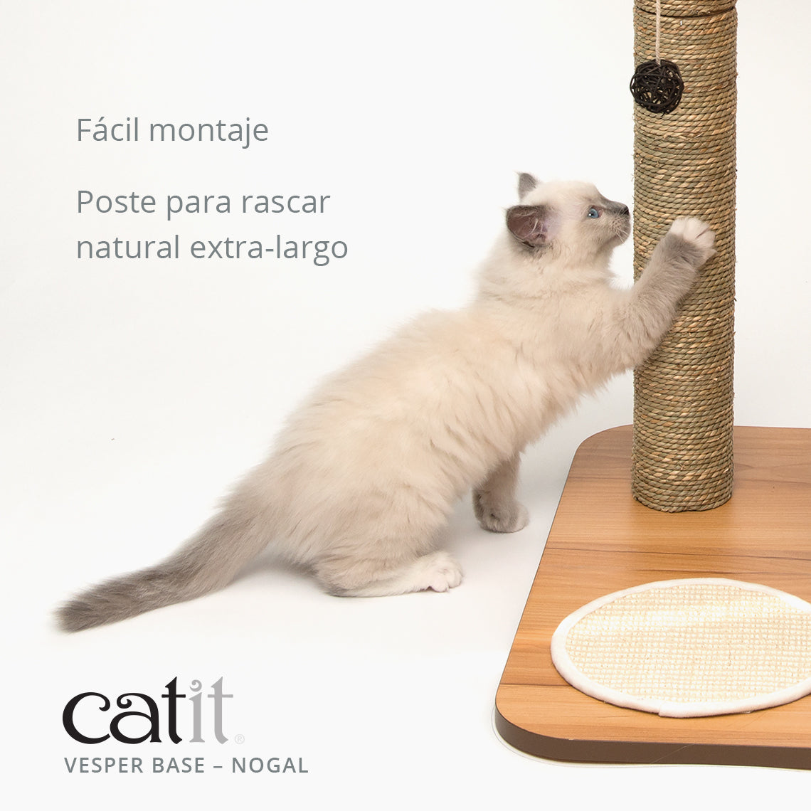 Un gatito peludo rasca un poste alto de sisal sobre una base de madera contra un fondo blanco con texto.