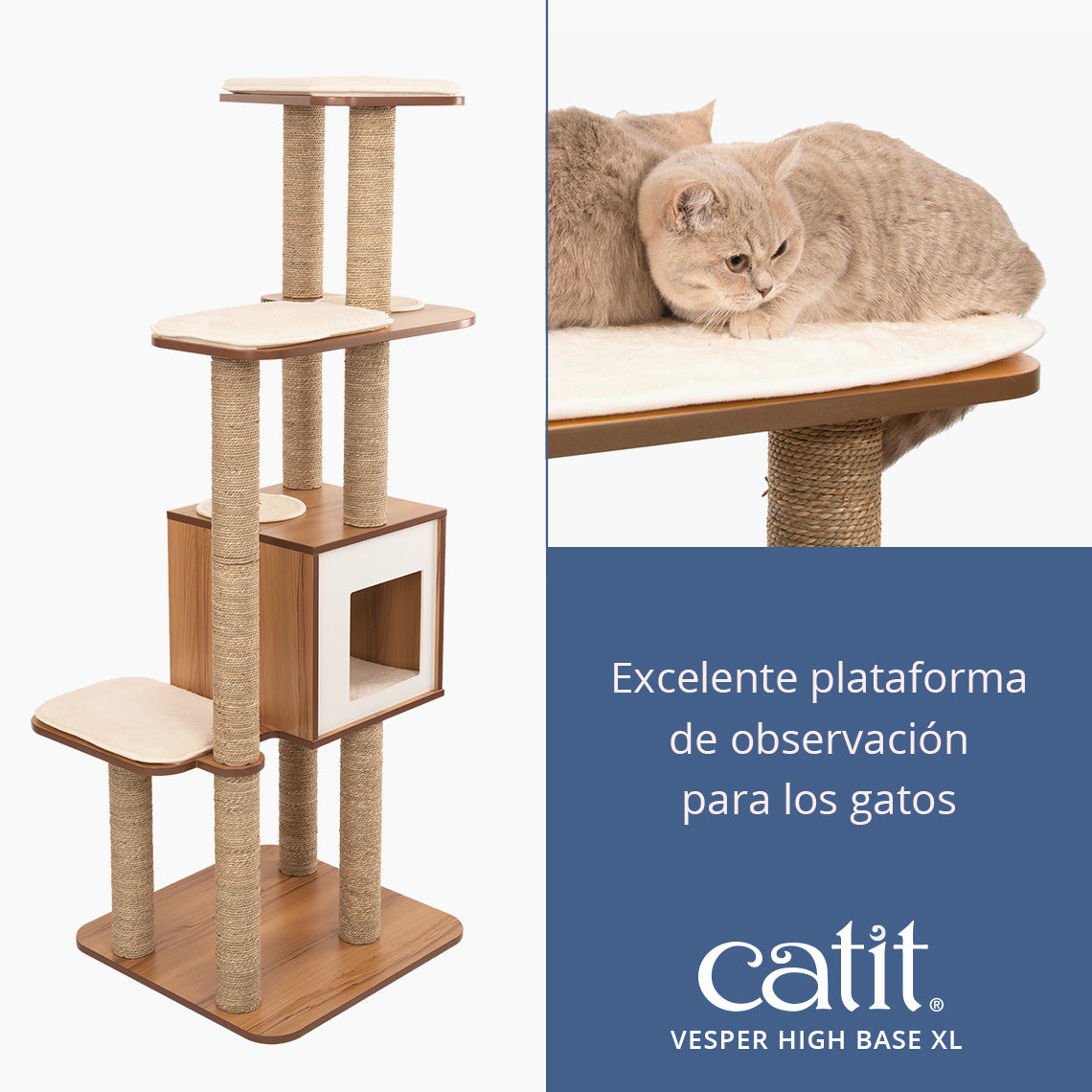 Gatos se sientan en una plataforma Catit Vesper High Base XL junto a un rascador.