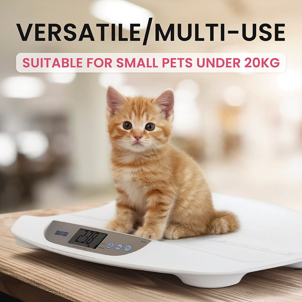 An orange tabby kitten sits on a white digital scale on a wooden table, with text above it.