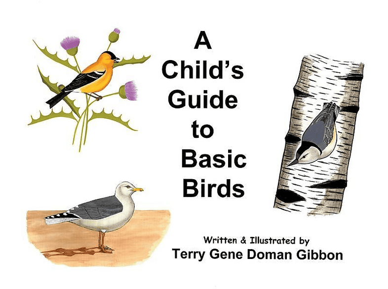 A Child's Guide to Basic Birds | MediaMarkt