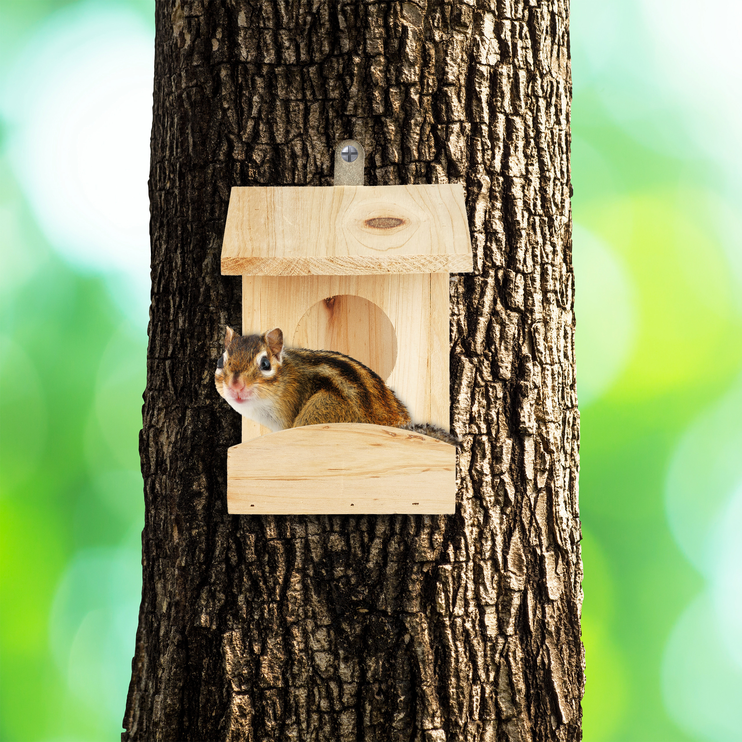 Ein kleiner Streifenhörnchen sitzt in einem hölzernen Vogelhaus an einem Baumstamm vor grünem Hintergrund.