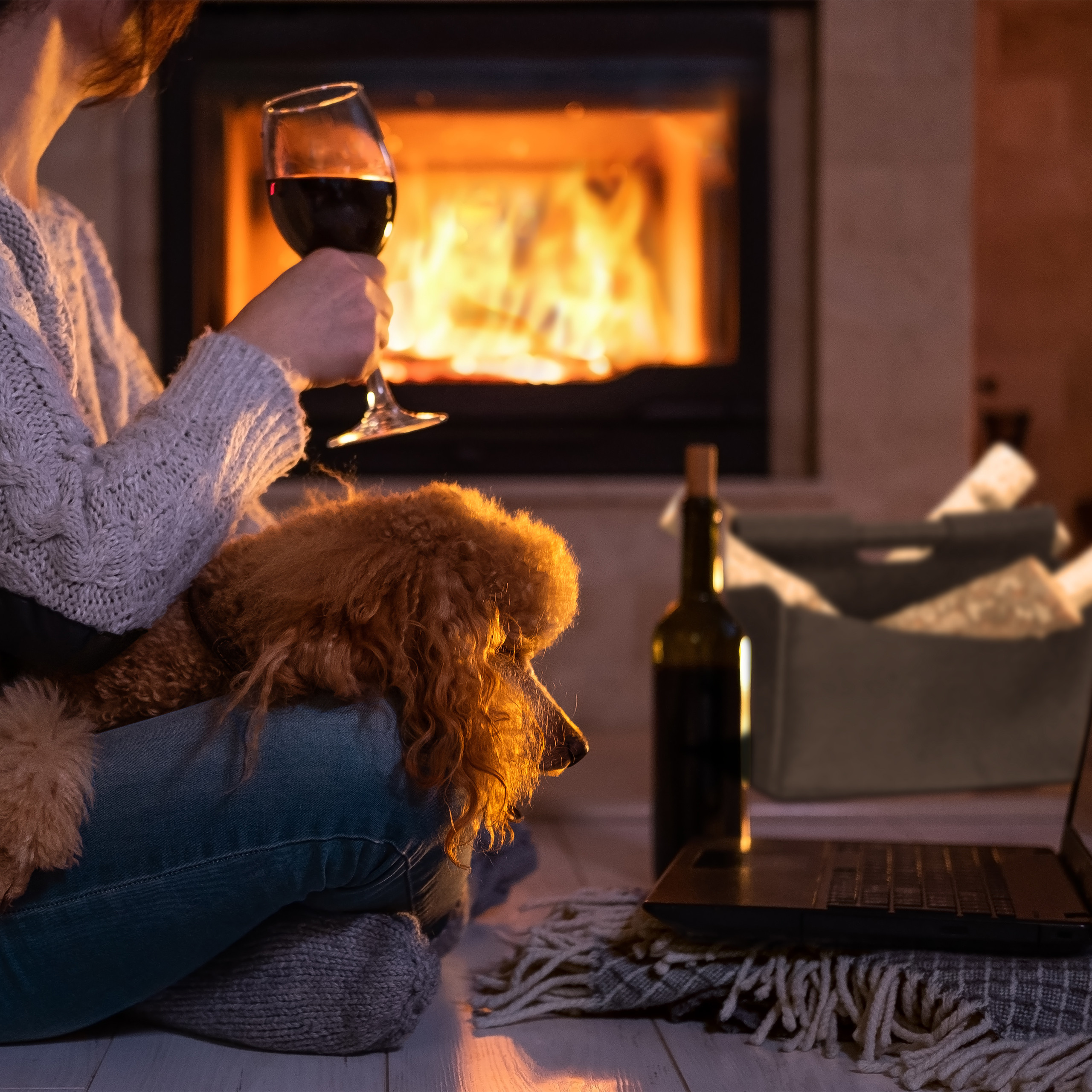 Eine Frau sitzt mit ihrem Hund vor einem warmen Kamin, hält ein Glas Wein und schaut auf einen Laptop.