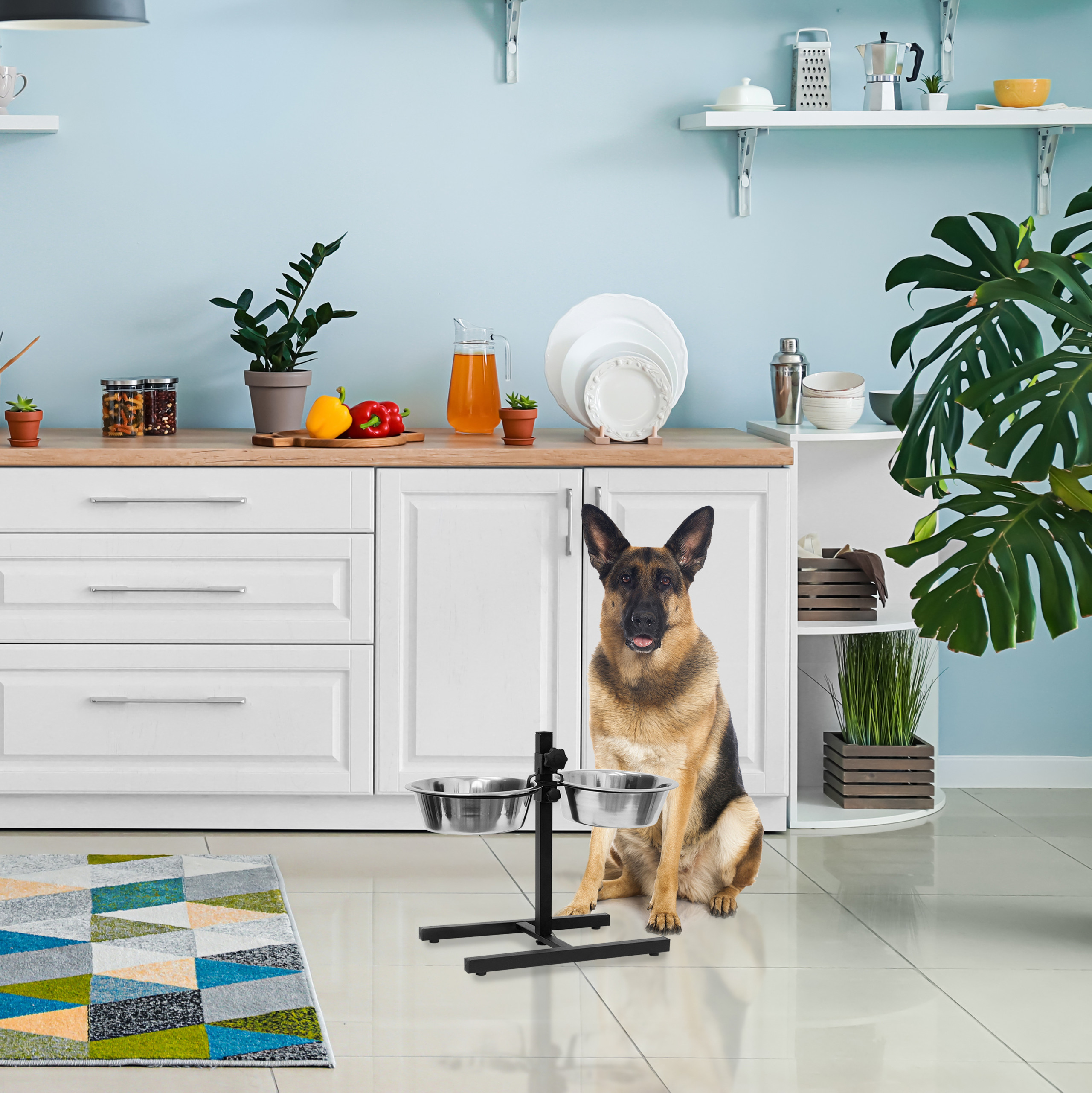 Deutscher Schäferhund sitzt in heller Küche neben doppelten Futternäpfen.