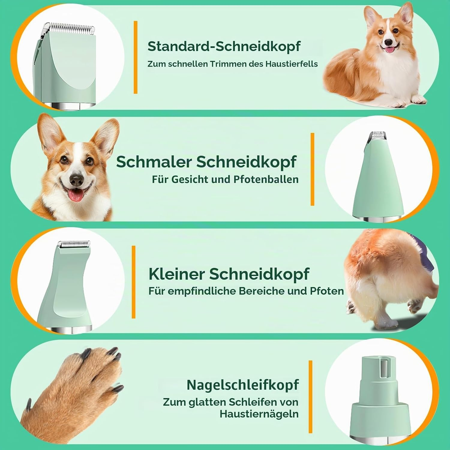 Vergleich verschiedener Scherköpfe für Haustiertrimmer mit Corgi-Hunden und Tierpfoten.