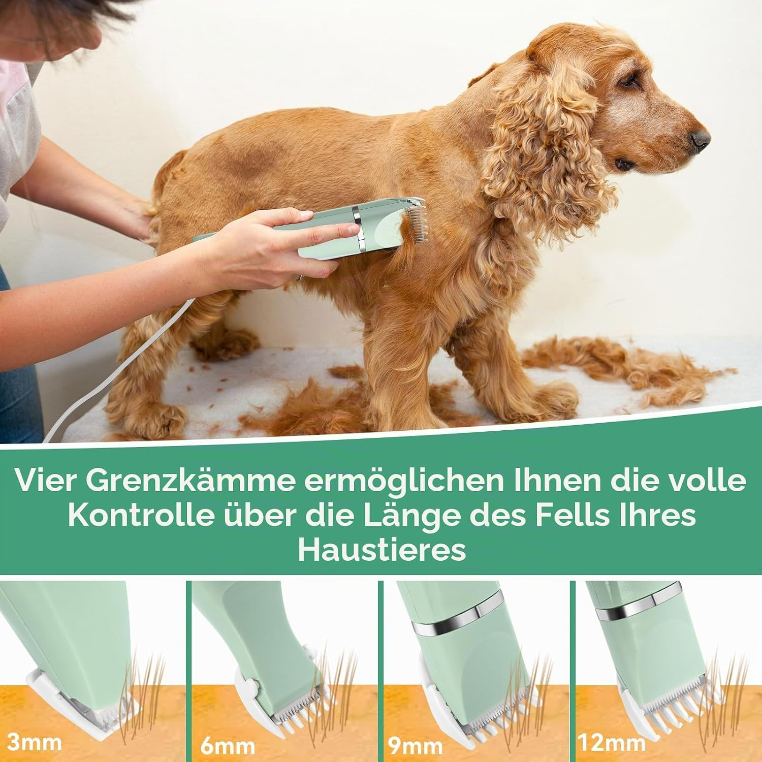 Eine Person schneidet das Fell eines goldbraunen Hundes mit einem grünen Rasierer. Unten vier Aufsätze.