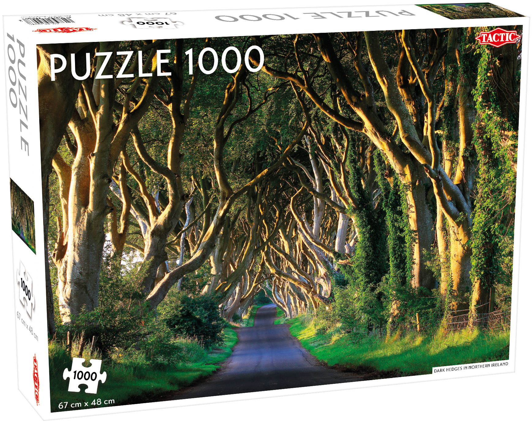 TACTIC Dark Hedges in Northern Ireland 1000 pcs Puzzle | MediaMarkt
