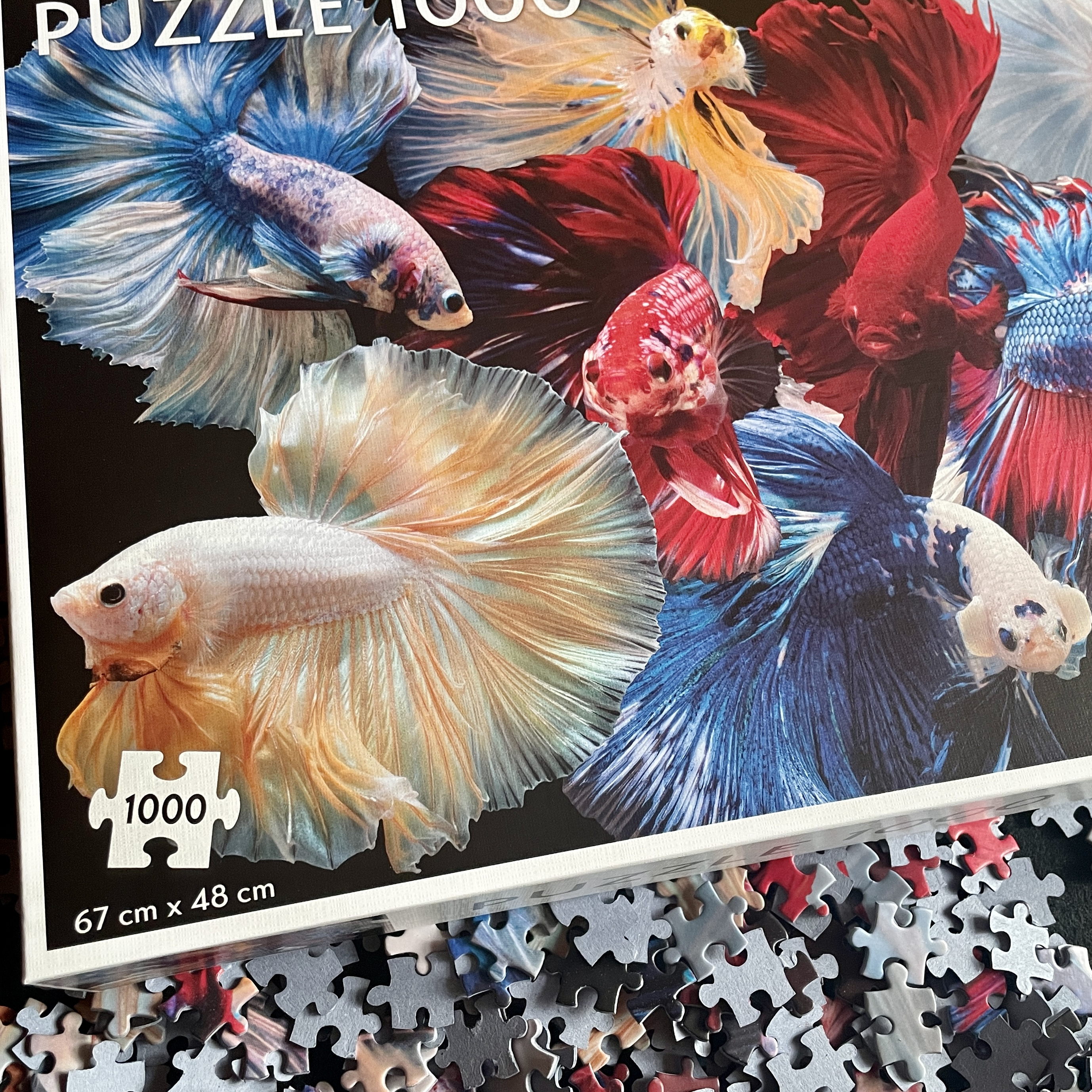 Una caja de rompecabezas de 1000 piezas muestra coloridos peces betta con piezas dispersas en primer plano.