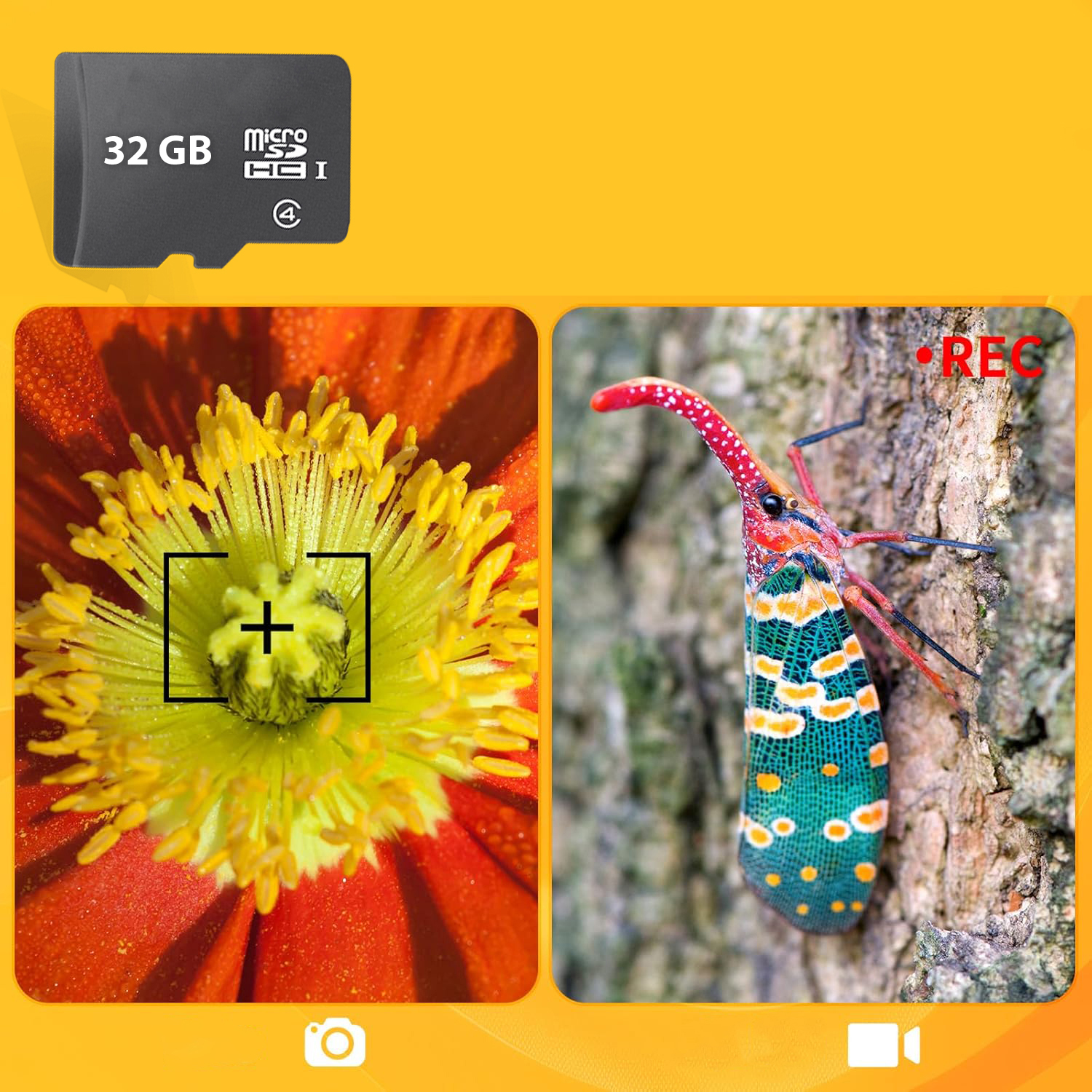 Karta SD nad dwoma makrofotografiami czerwonego kwiatu i kolorowego owada na pniu drzewa.