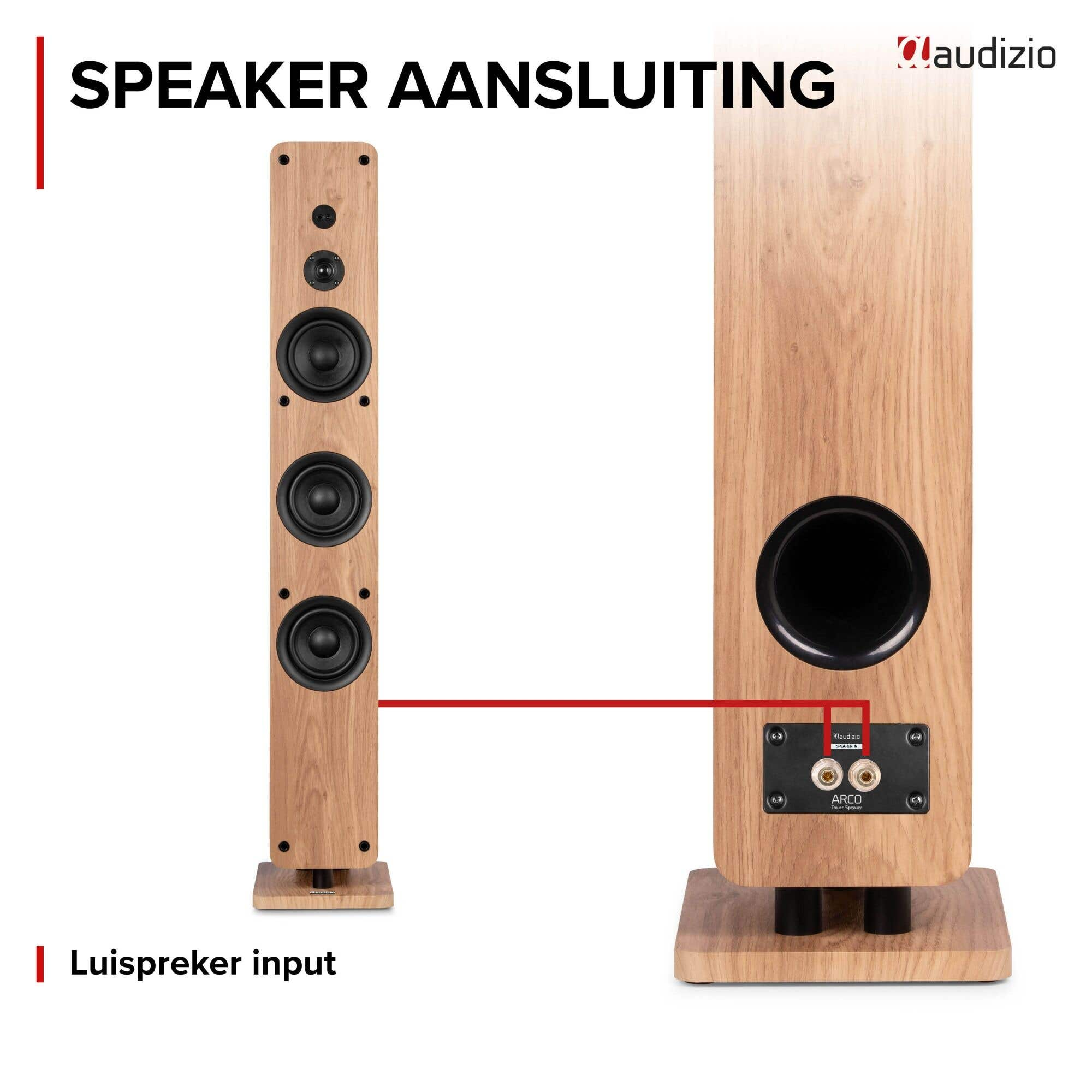 Altavoz de torre Audizio de madera con conexiones de entrada en la parte posterior.