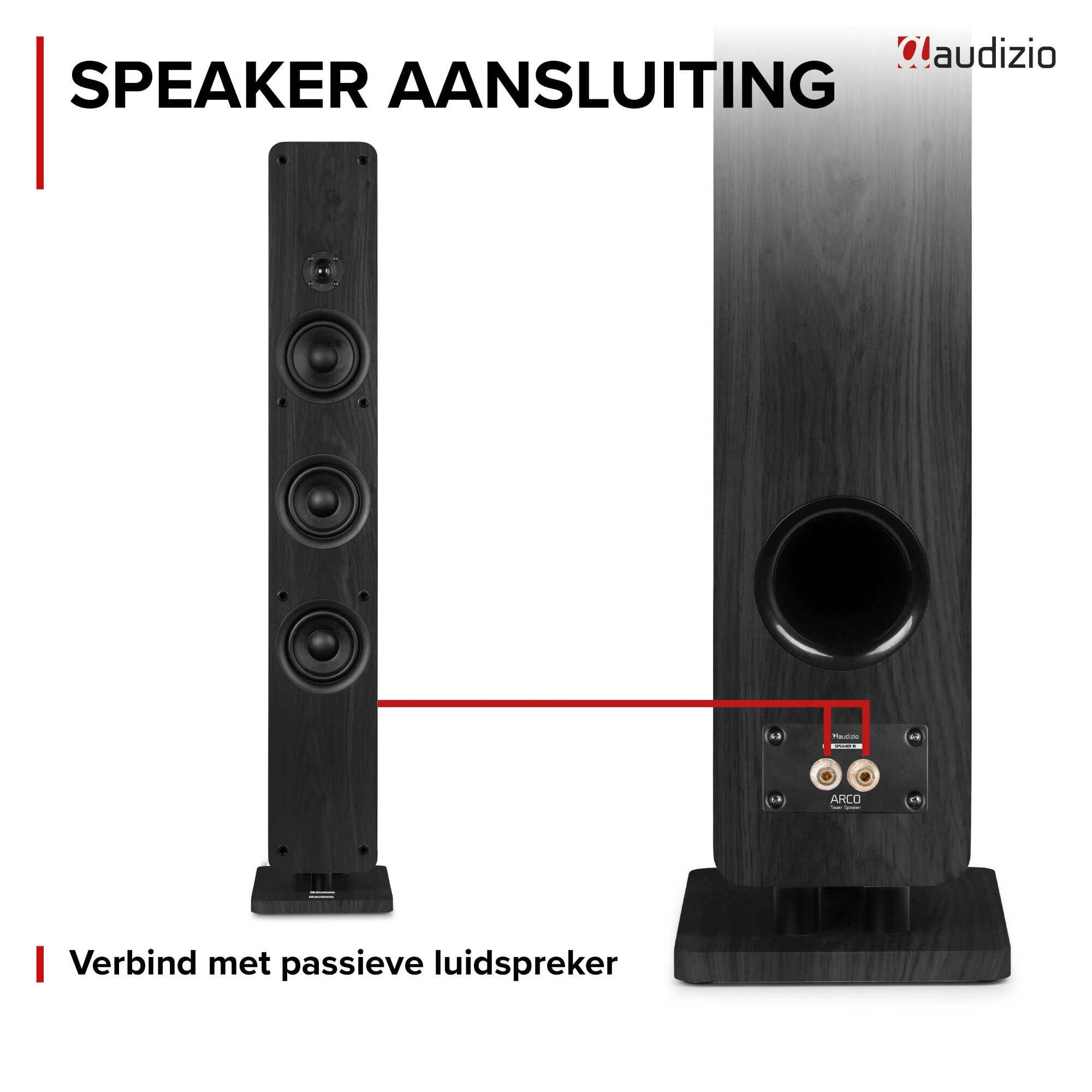 Diagrama que muestra la conexión de un altavoz de torre Audizio, con vistas frontal y trasera.