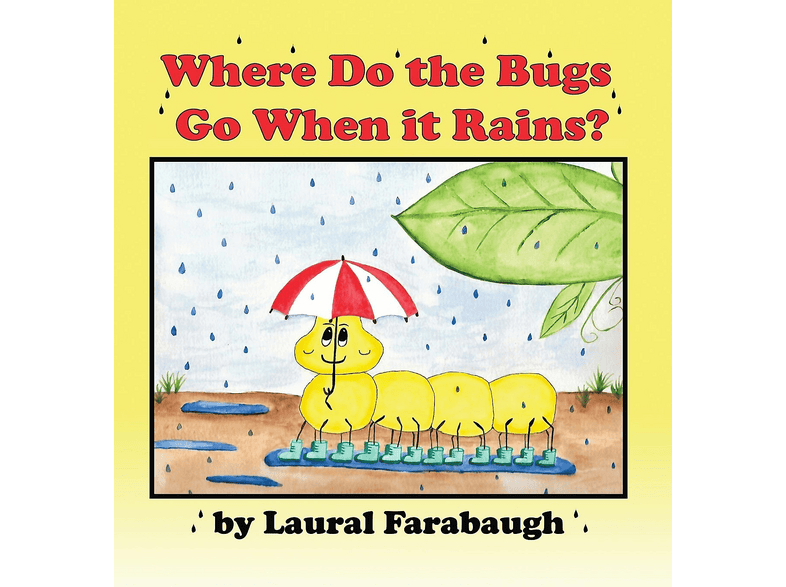 Where Do the Bugs Go When it Rains? | SATURN