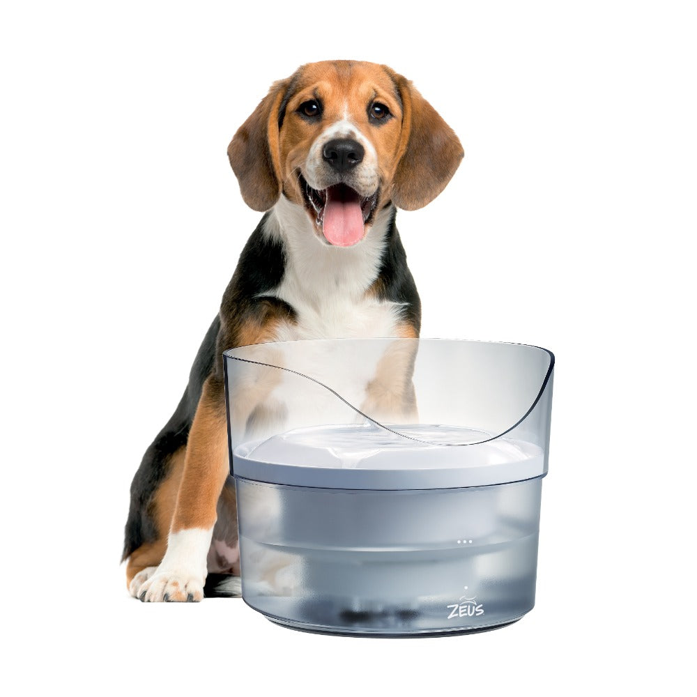 Un cachorro de beagle feliz se sienta detrás de una fuente de agua para mascotas Zeus sobre fondo blanco.