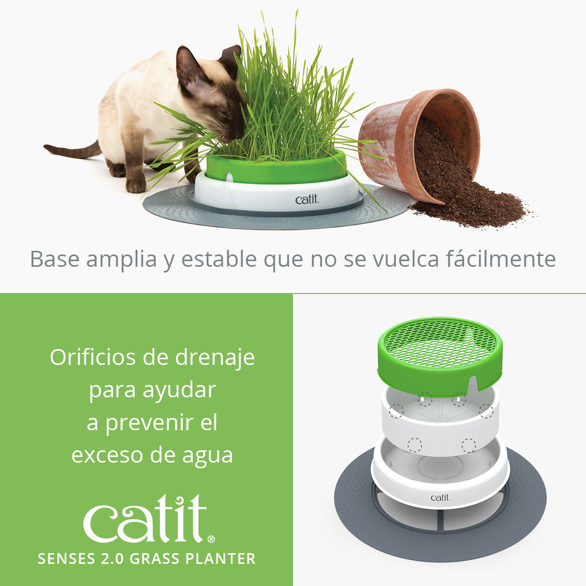 Un gato come hierba de una jardinera Catit verde. Al lado hay una maceta volcada con tierra derramada.