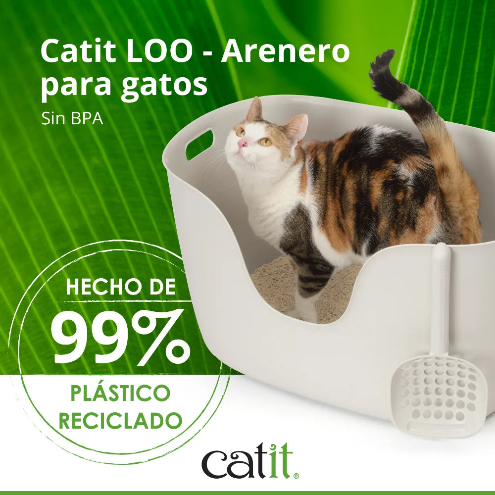 Un gato calicó está dentro de un arenero blanco Catit sobre fondo verde.
