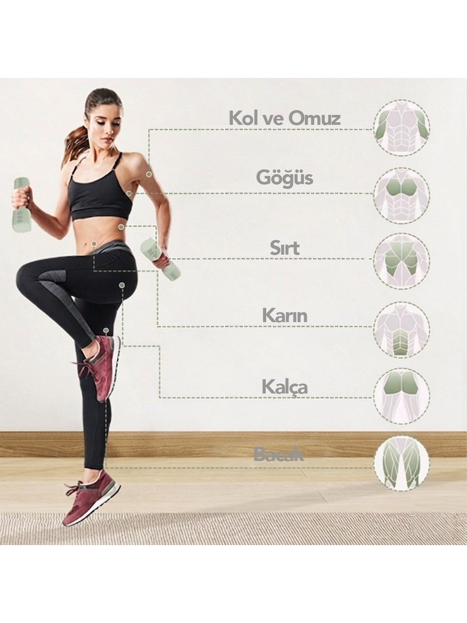 Dambıl tutan fitness kadını çalıştırılan kasları gösteriyor.