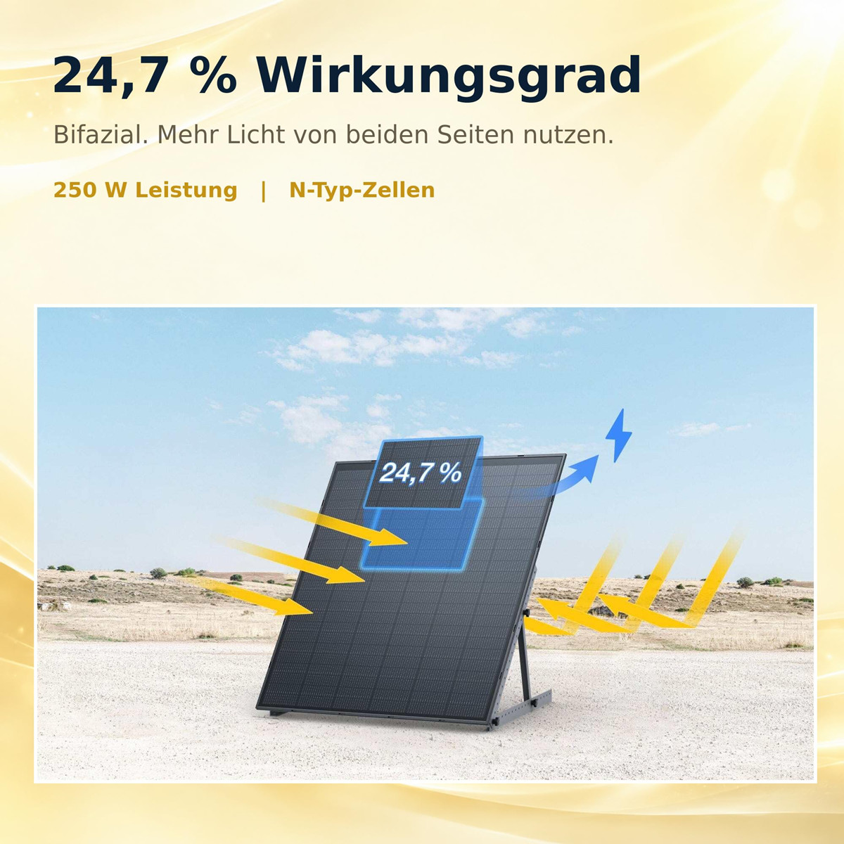 Bifaziales Solarmodul mit 24,7 % Wirkungsgrad, das Licht von beiden Seiten nutzt und 250 W leistet.