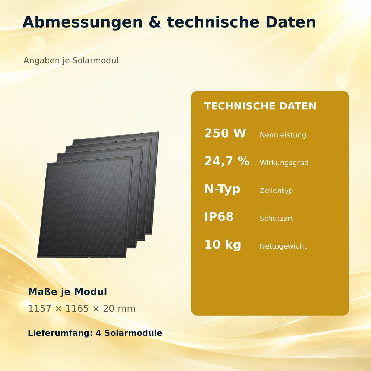 Technische Daten und Maße von vier Solarmodulen mit 250W Nennleistung auf goldenem Hintergrund.