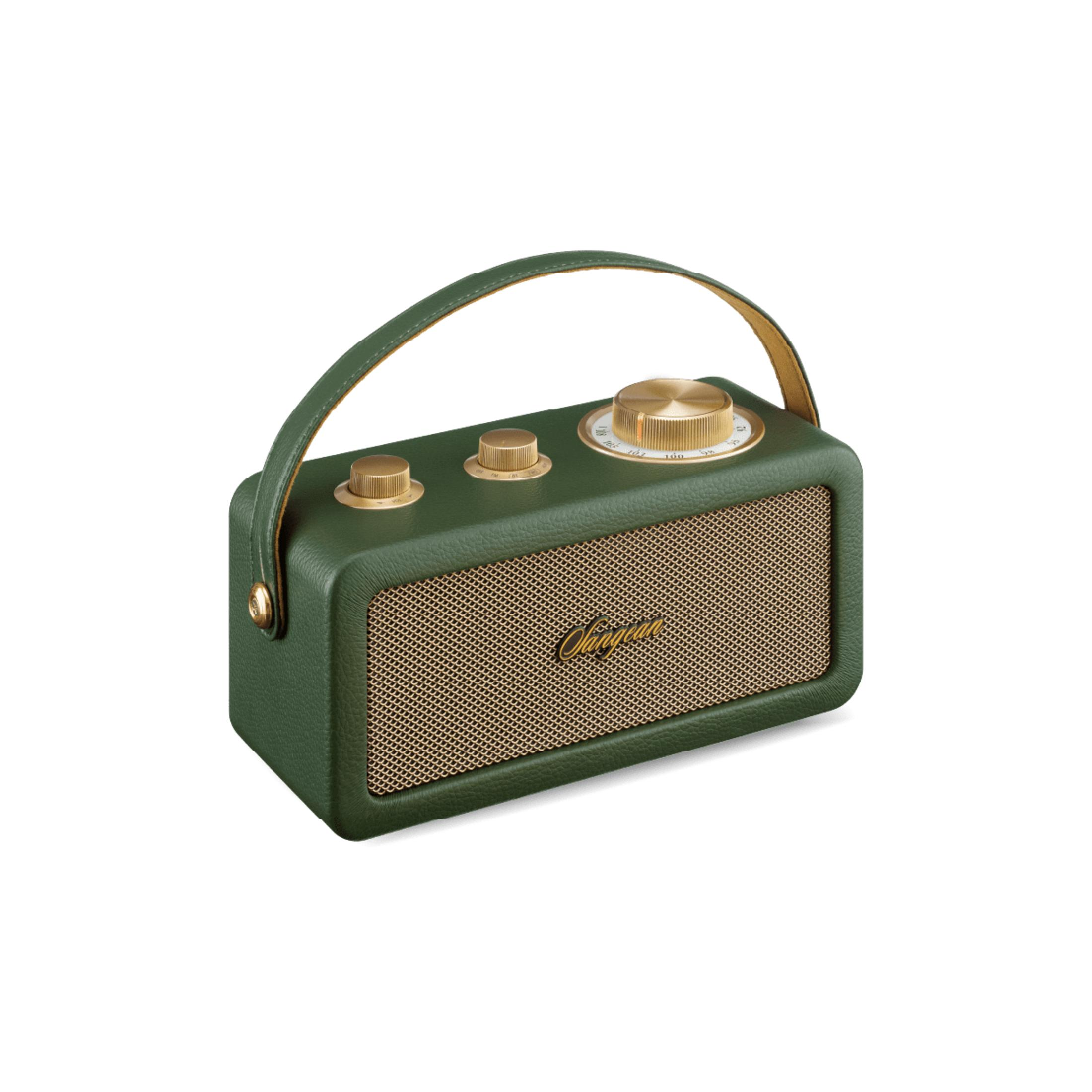 Una radio retro verde con perillas doradas, rejilla de altavoz y asa sobre fondo blanco.
