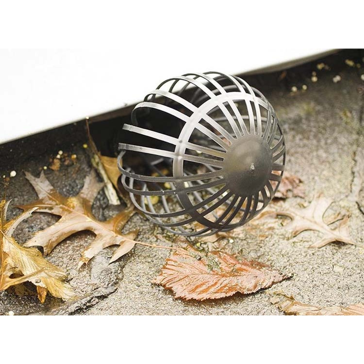 A black, spherical leaf guard in a gutter surrounded by autumn leaves.