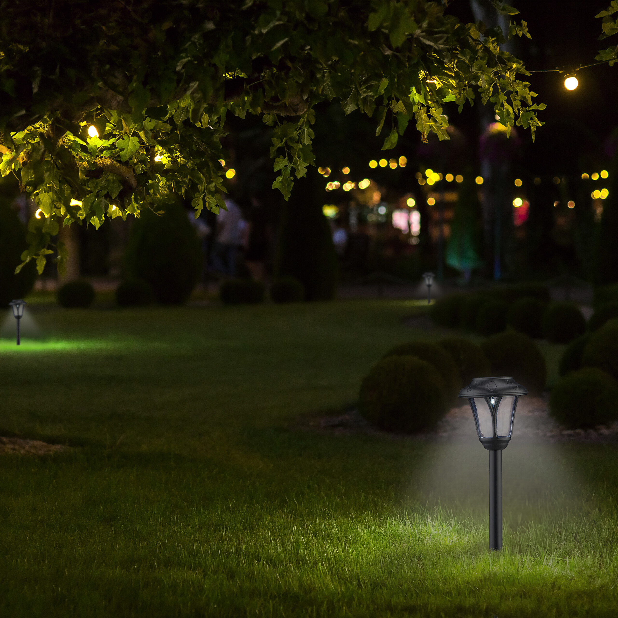 Solar-Gartenleuchten erhellen nachts einen Rasen und Büsche.