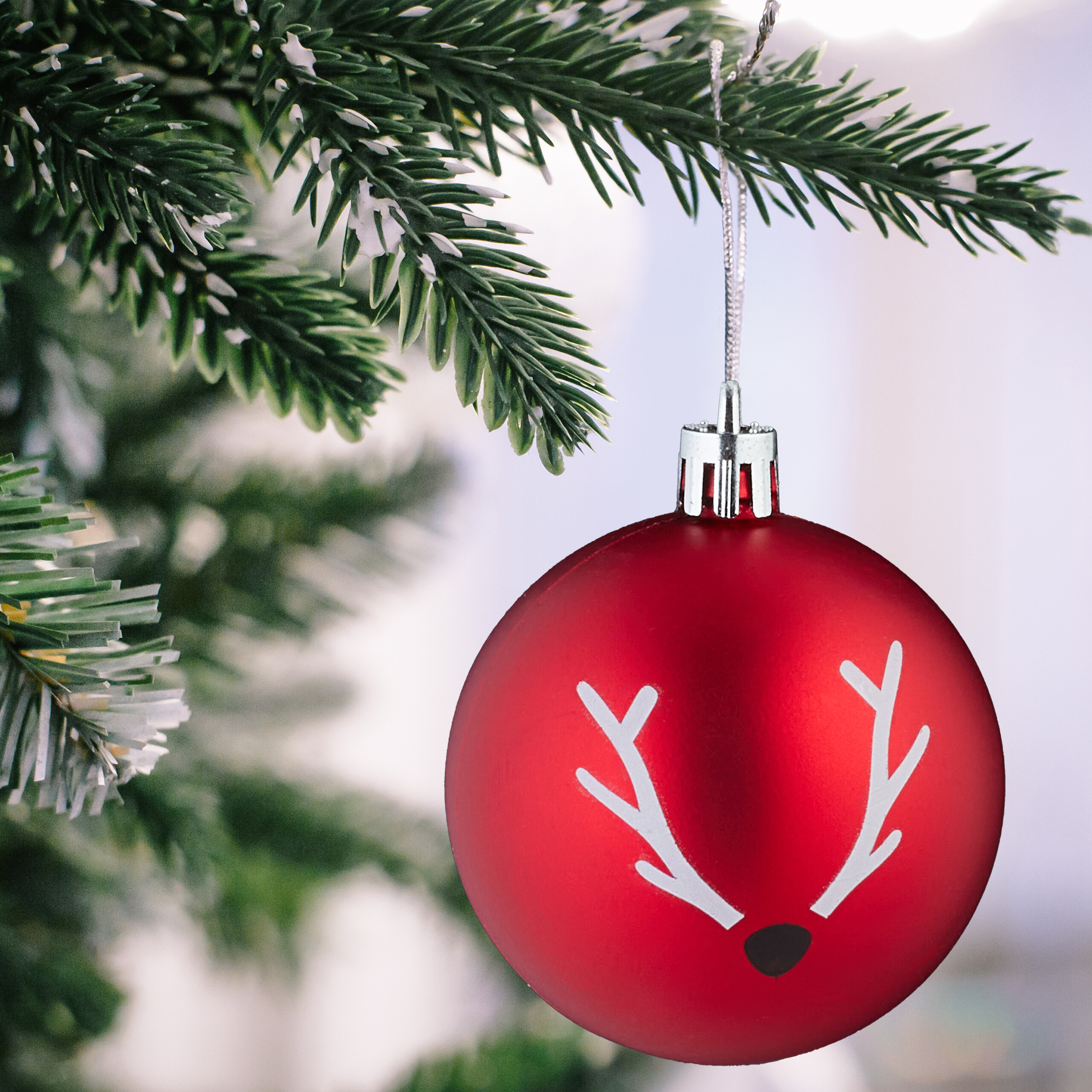 Eine rote Weihnachtskugel mit weißem Rentiermotiv hängt an einem mit Schnee bedeckten Zweig.