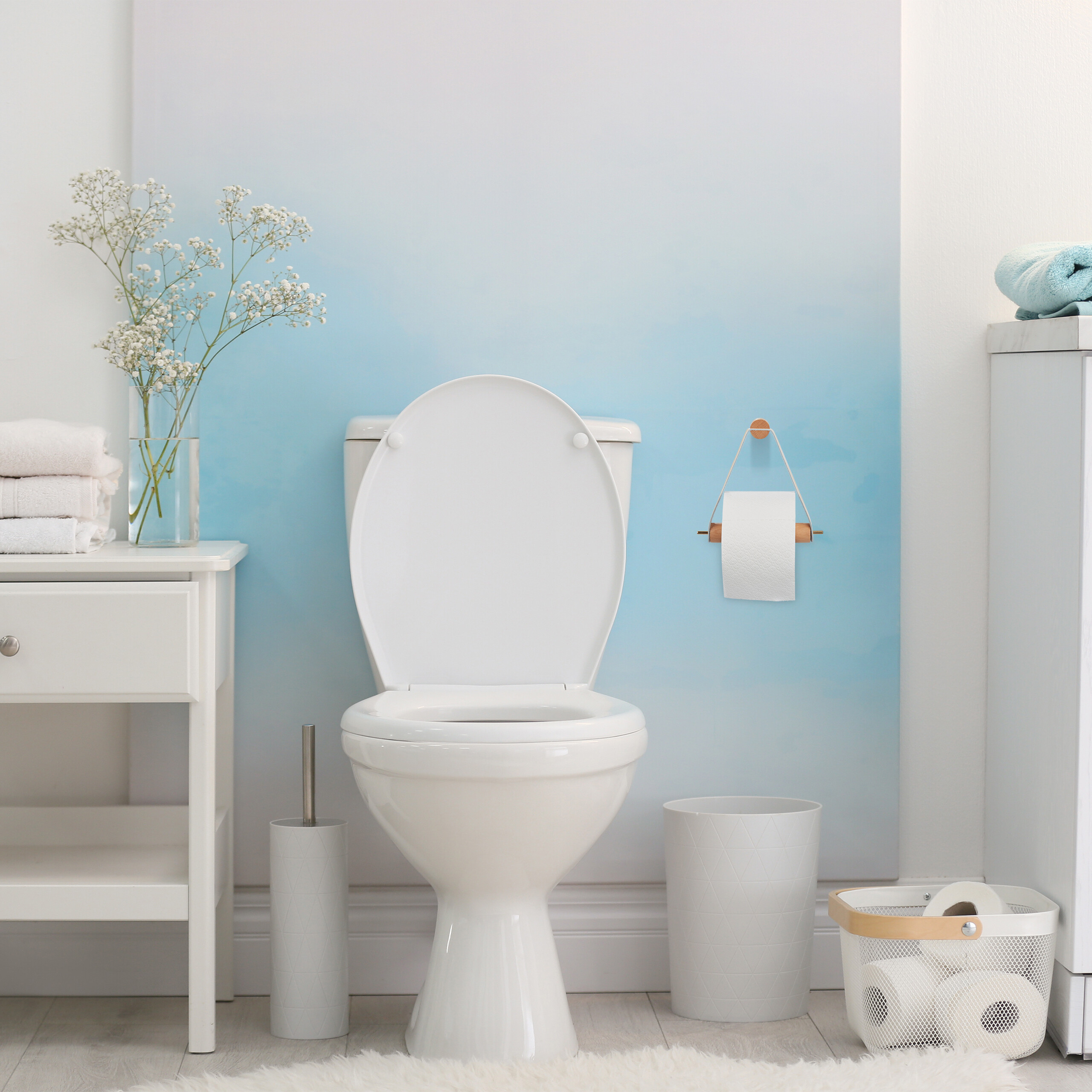Ein weißes WC vor einer blau-weißen Wand mit Blumen, Toilettenpapier und einem weißen Schränkchen.