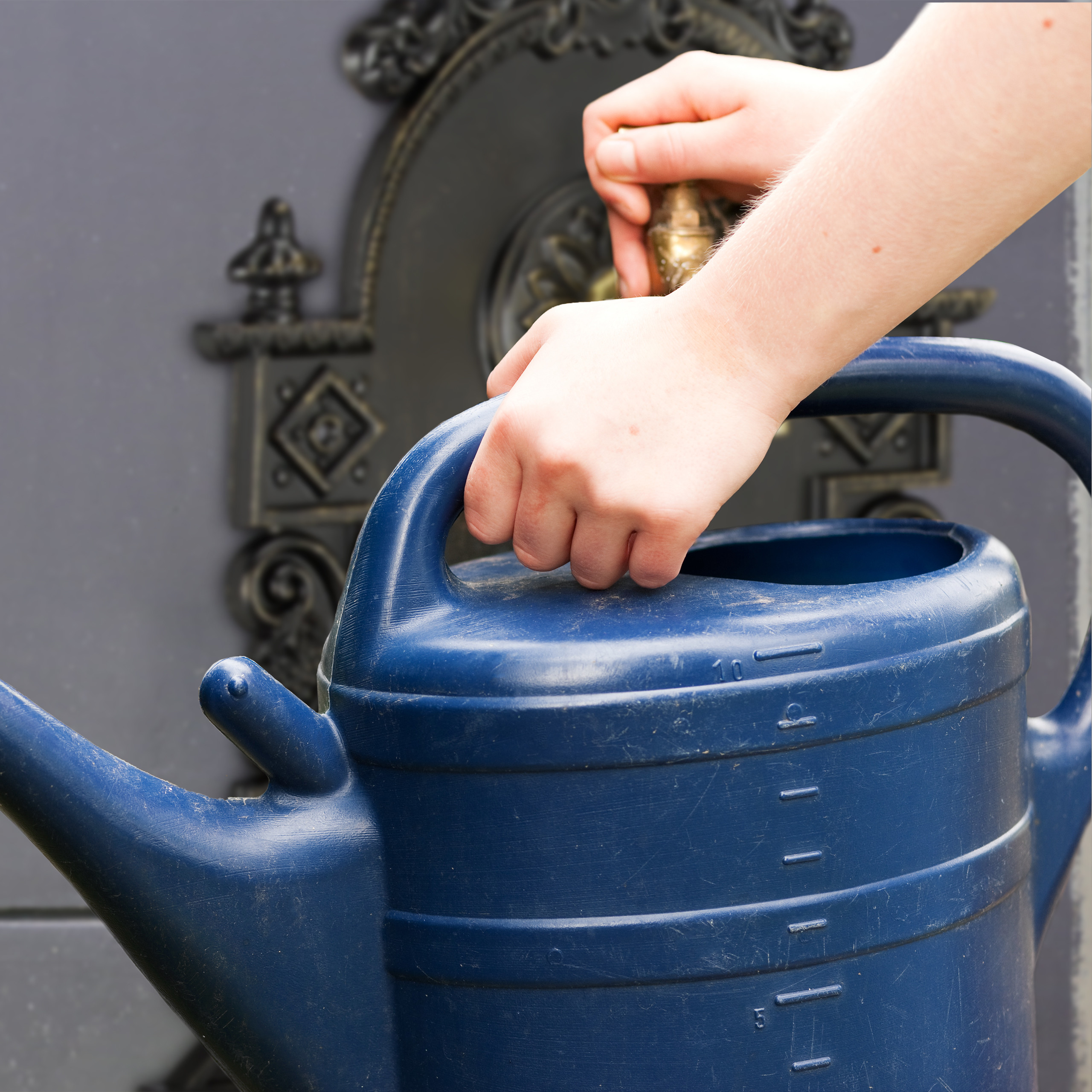 Eine Person füllt eine große blaue Plastikgießkanne an einem verzierten Außenwasserhahn.