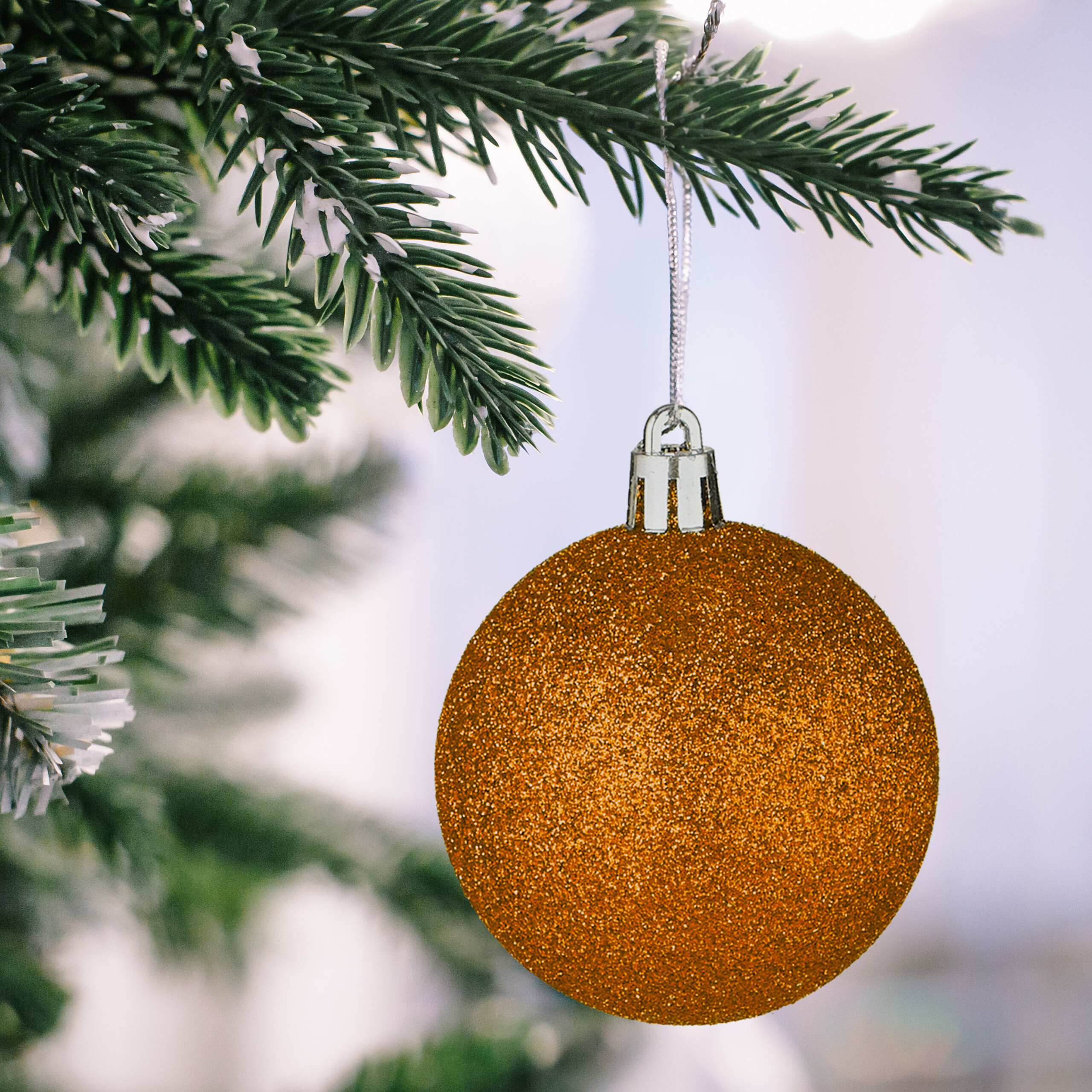 Eine glitzernde goldene Weihnachtskugel hängt an einem schneebedeckten grünen Tannenzweig.