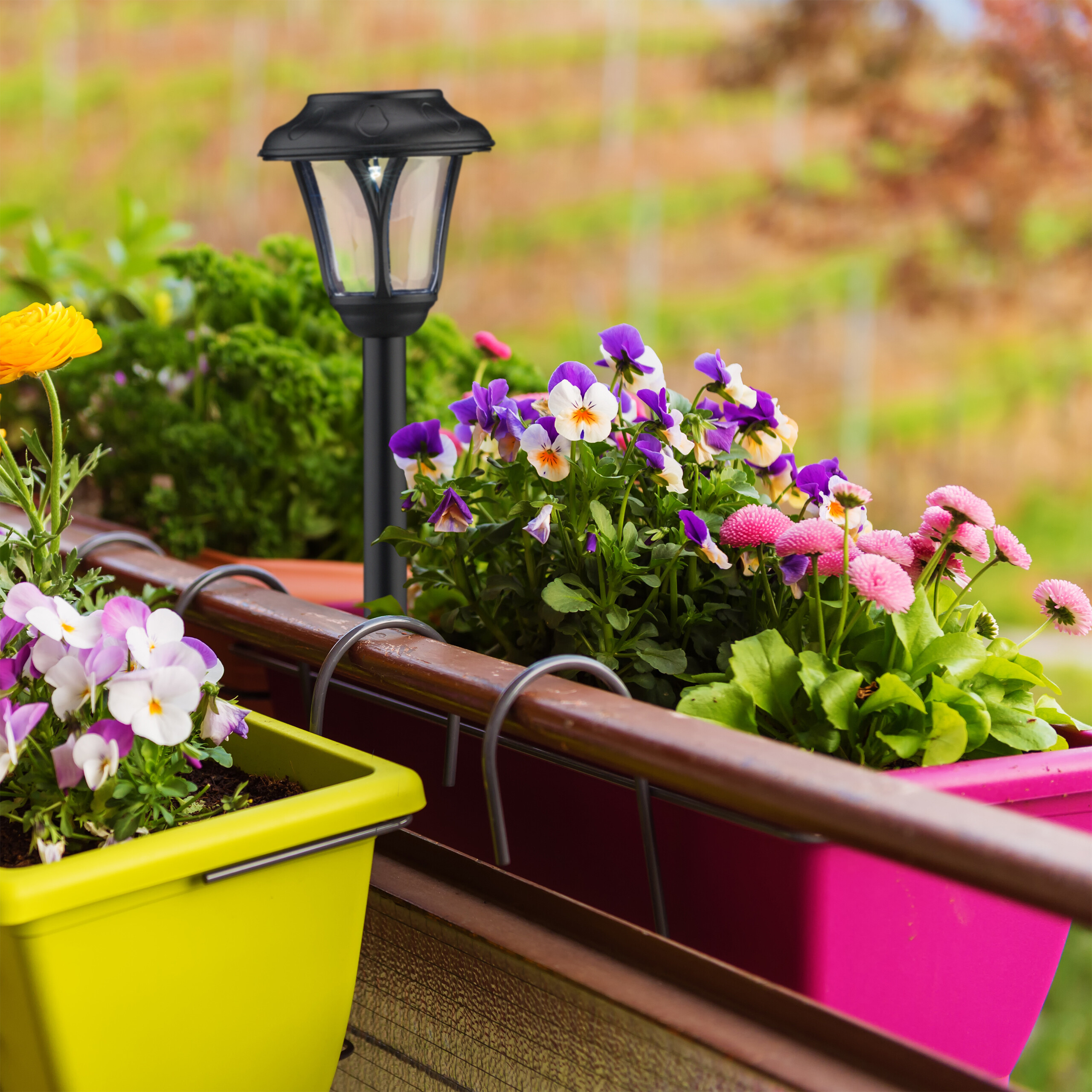 Bunte Blumen in Balkonkästen und eine Solarlampe vor verschwommenem Hintergrund.