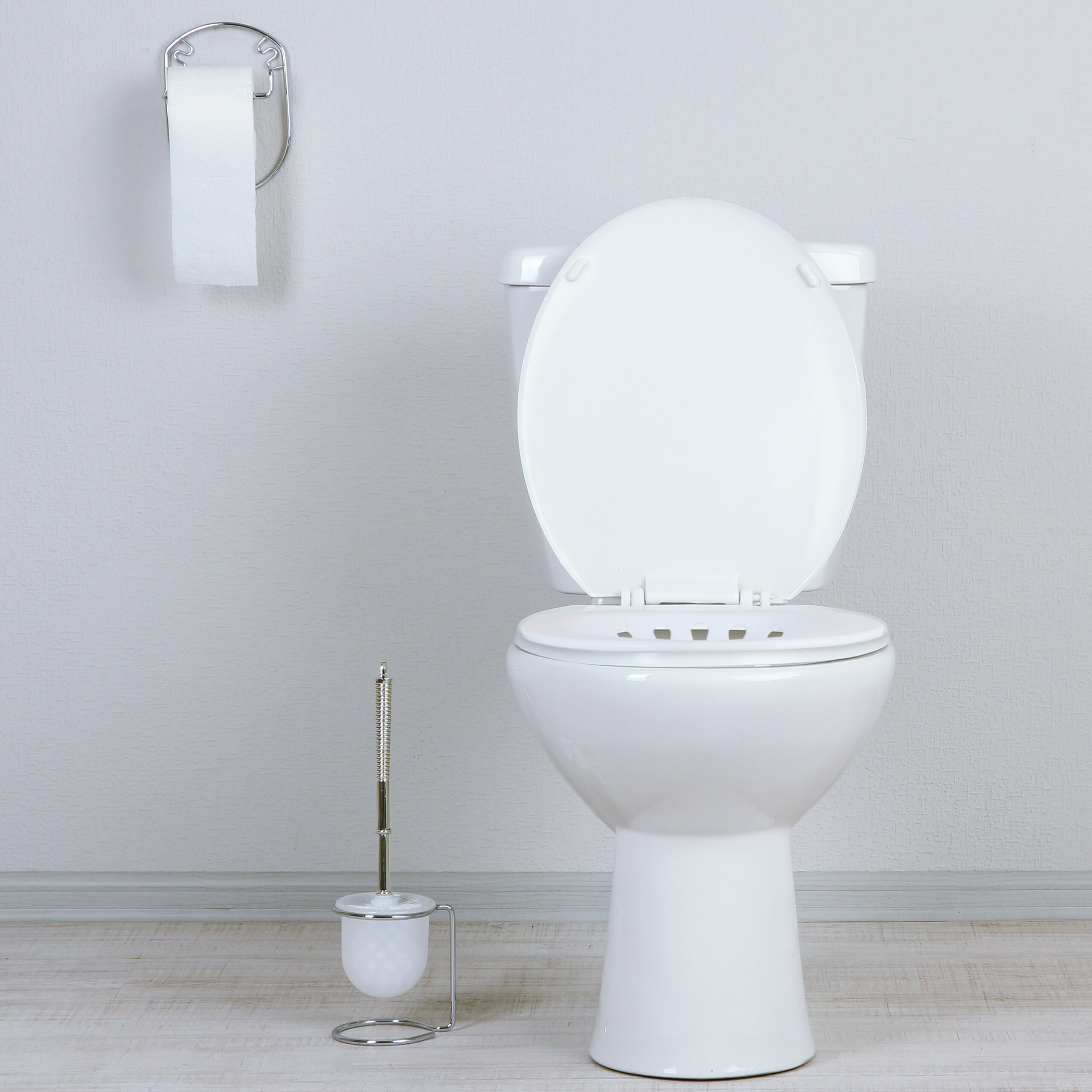 Eine weiße Toilette steht in einem Raum, daneben eine Toilettenbürste und Toilettenpapier an der Wand.