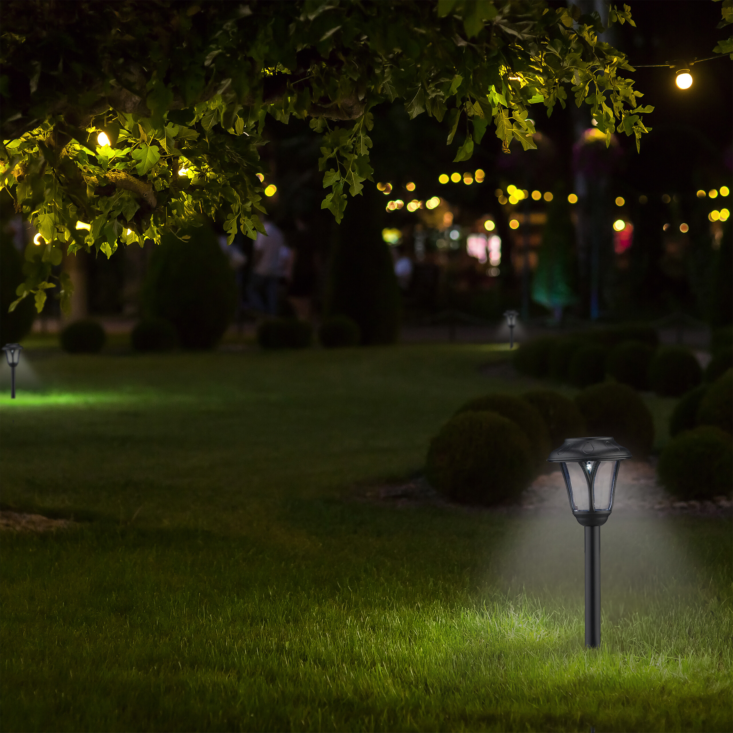 Solarleuchte beleuchtet den Rasen nachts in einem Garten.