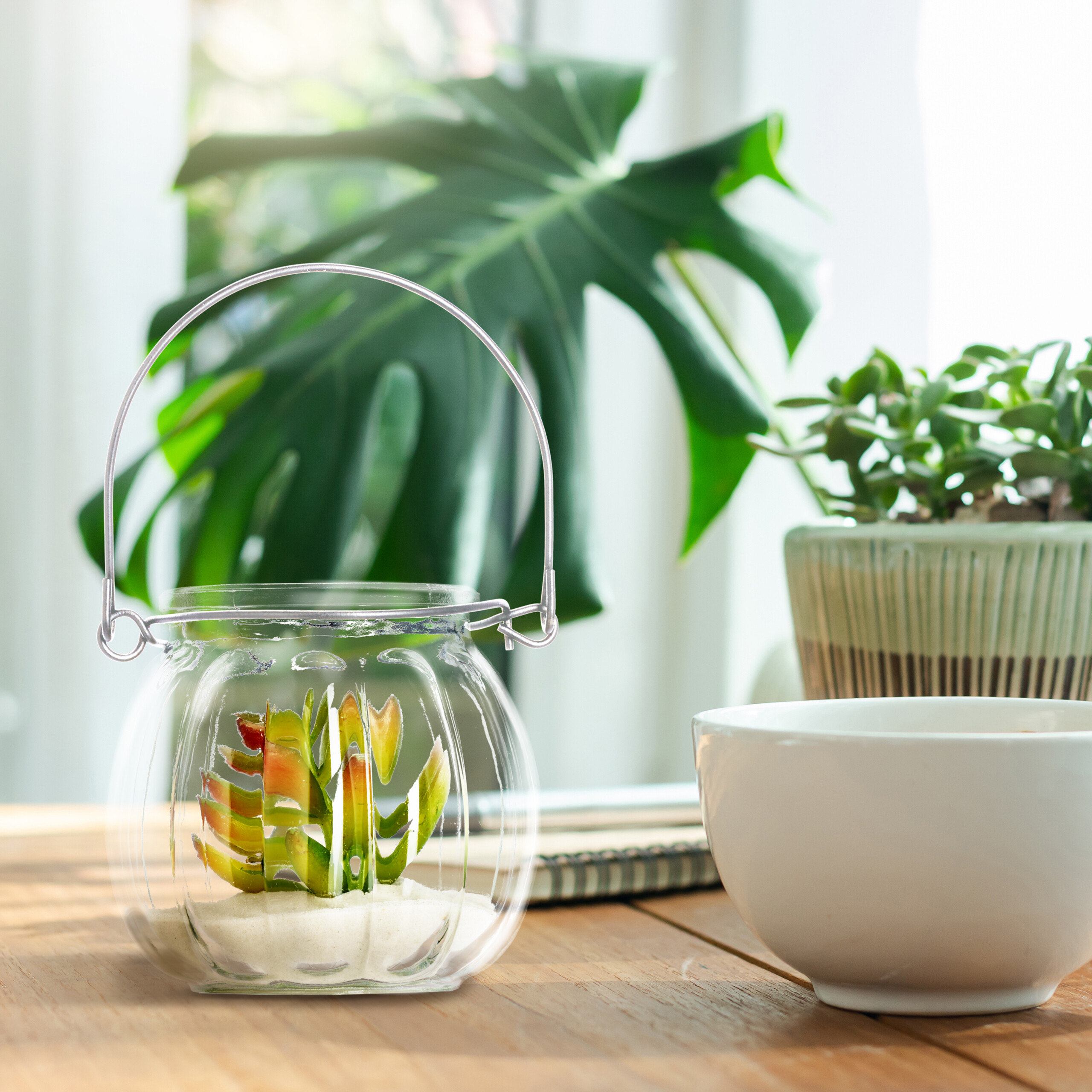 Ein kleines Glasterrarium mit einer Sukkulente auf einem Holztisch, im Hintergrund grüne Pflanzen.