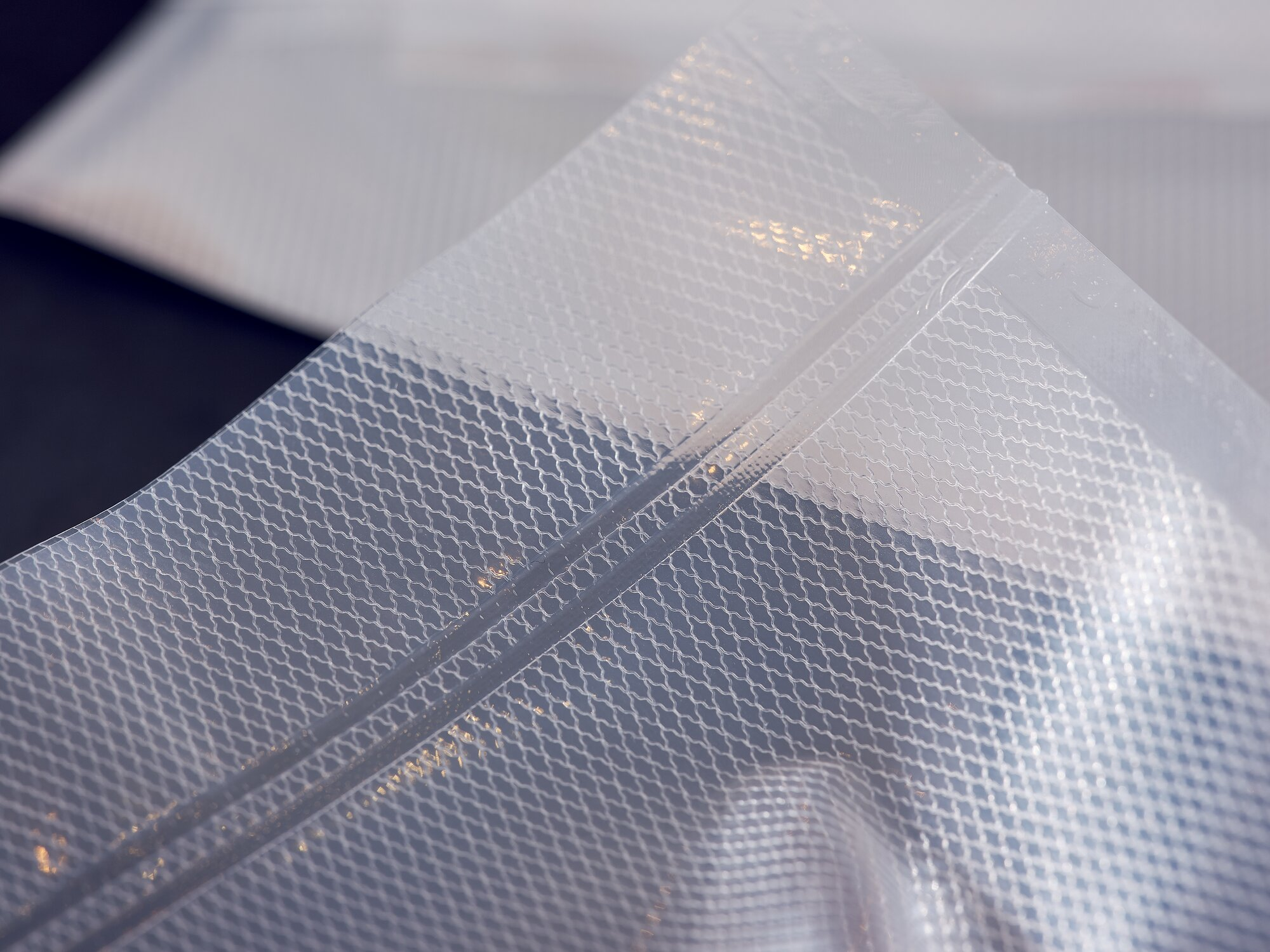 Primer plano de una bolsa de envasado al vacío transparente con un patrón de malla texturizada y una tira de cierre.