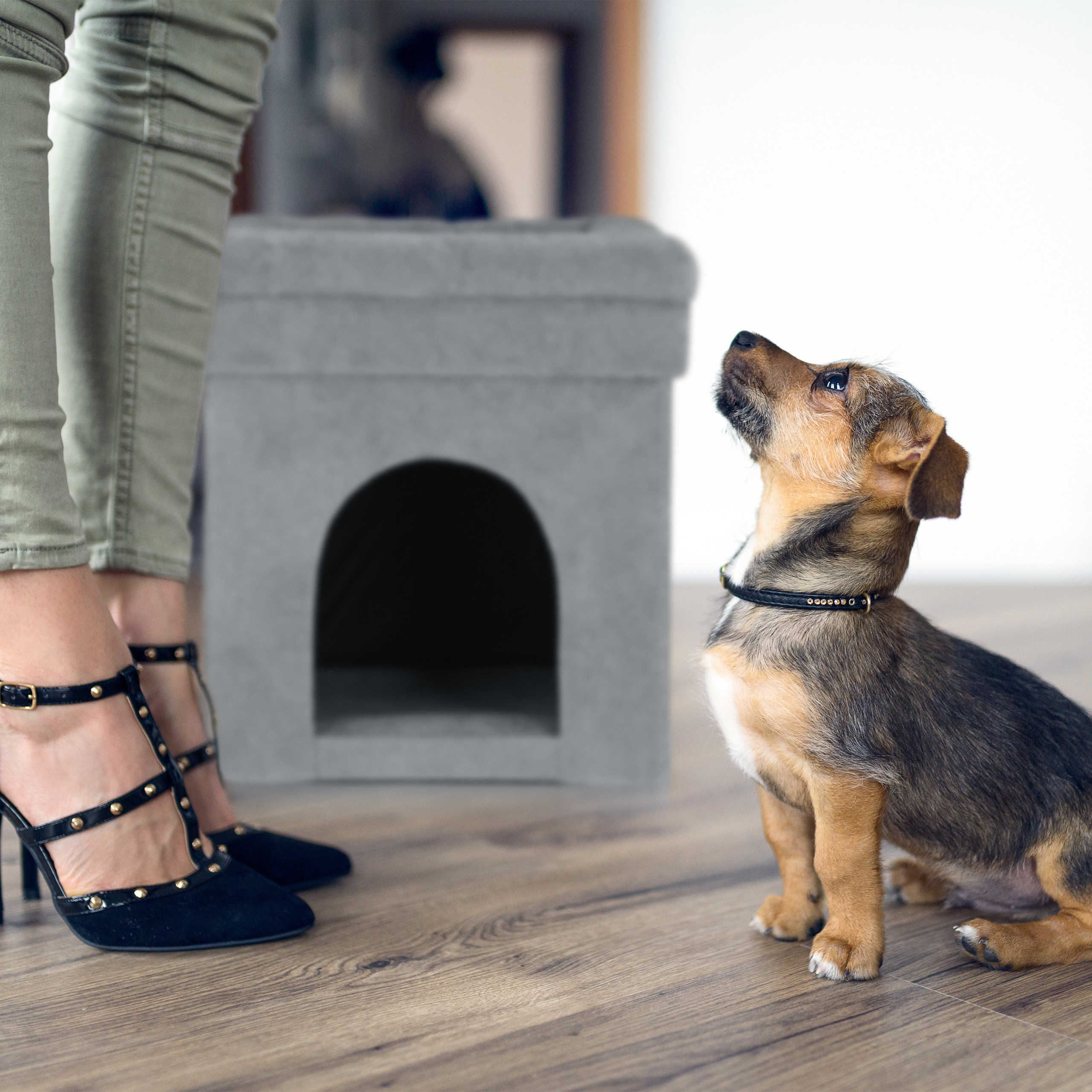 Ein kleiner Hund schaut zu einer stehenden Frau mit schwarzen High Heels auf. Im Hintergrund steht ein graues Haustierhaus.