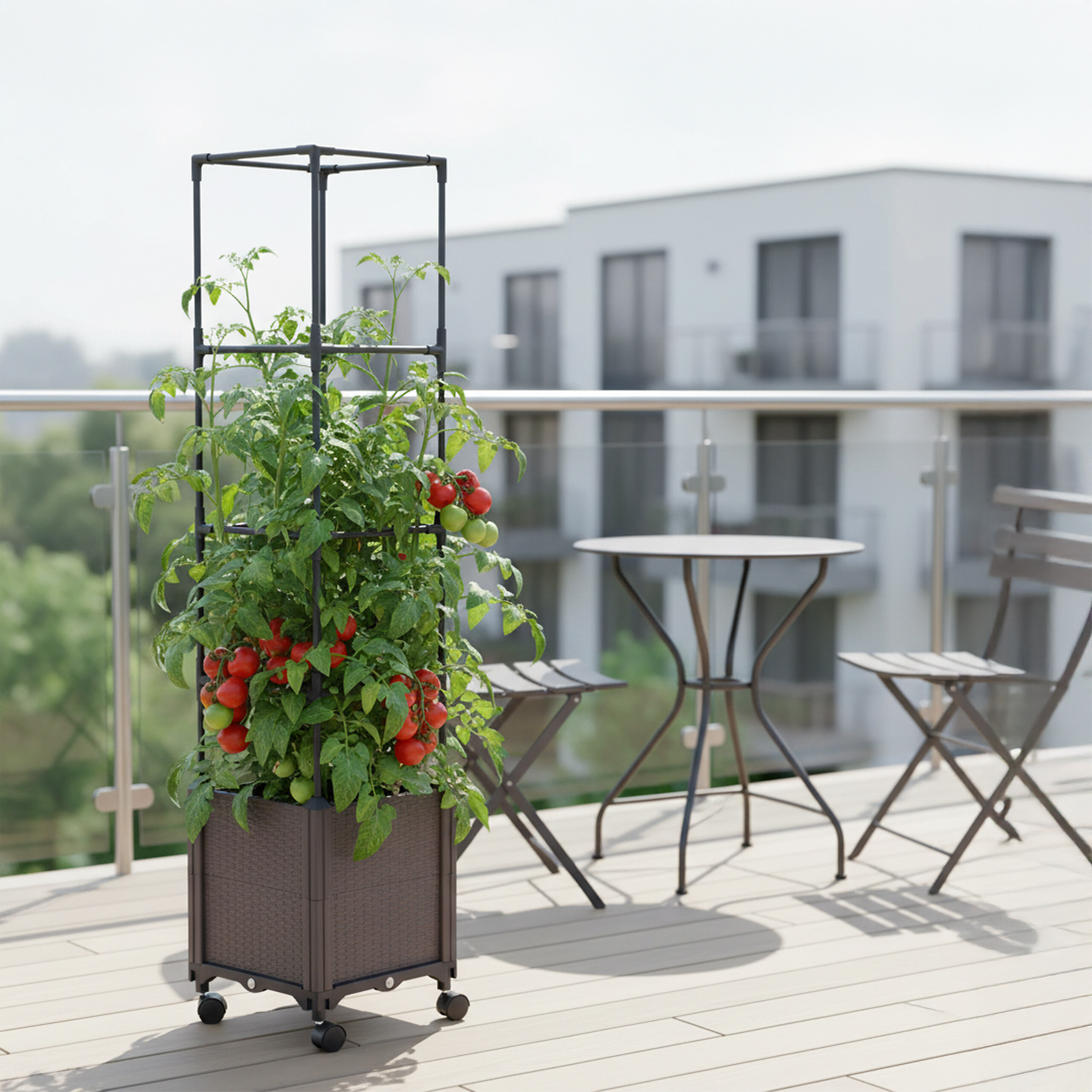 Eine Topf-Tomatenpflanze mit schwarzem Metallgerüst auf einem Holzbalon mit Tisch und Stühlen im Hintergrund.