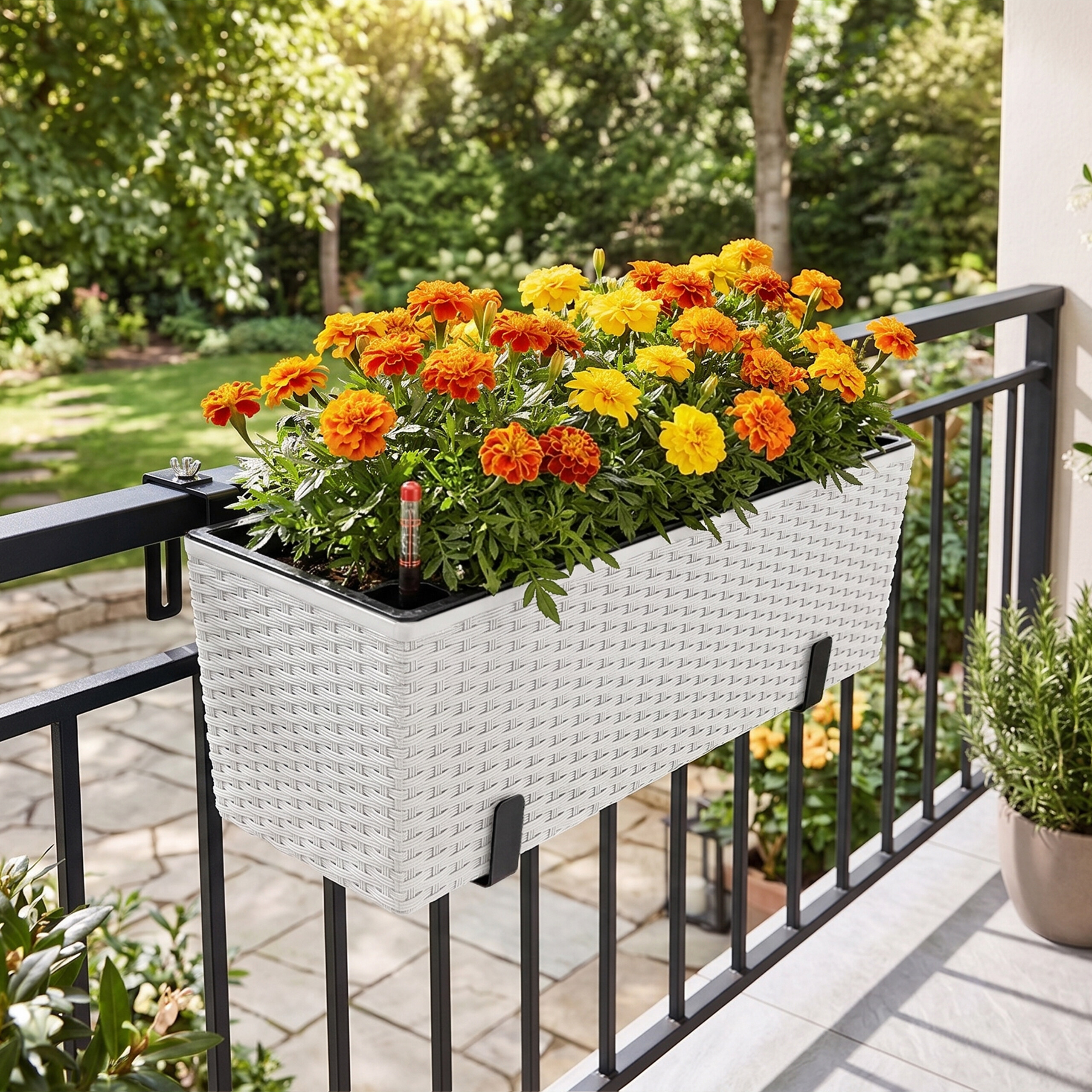 Ein weißer, geflochtener Blumenkasten an einem schwarzen Balkongeländer, gefüllt mit orange-gelben Tagetes.
