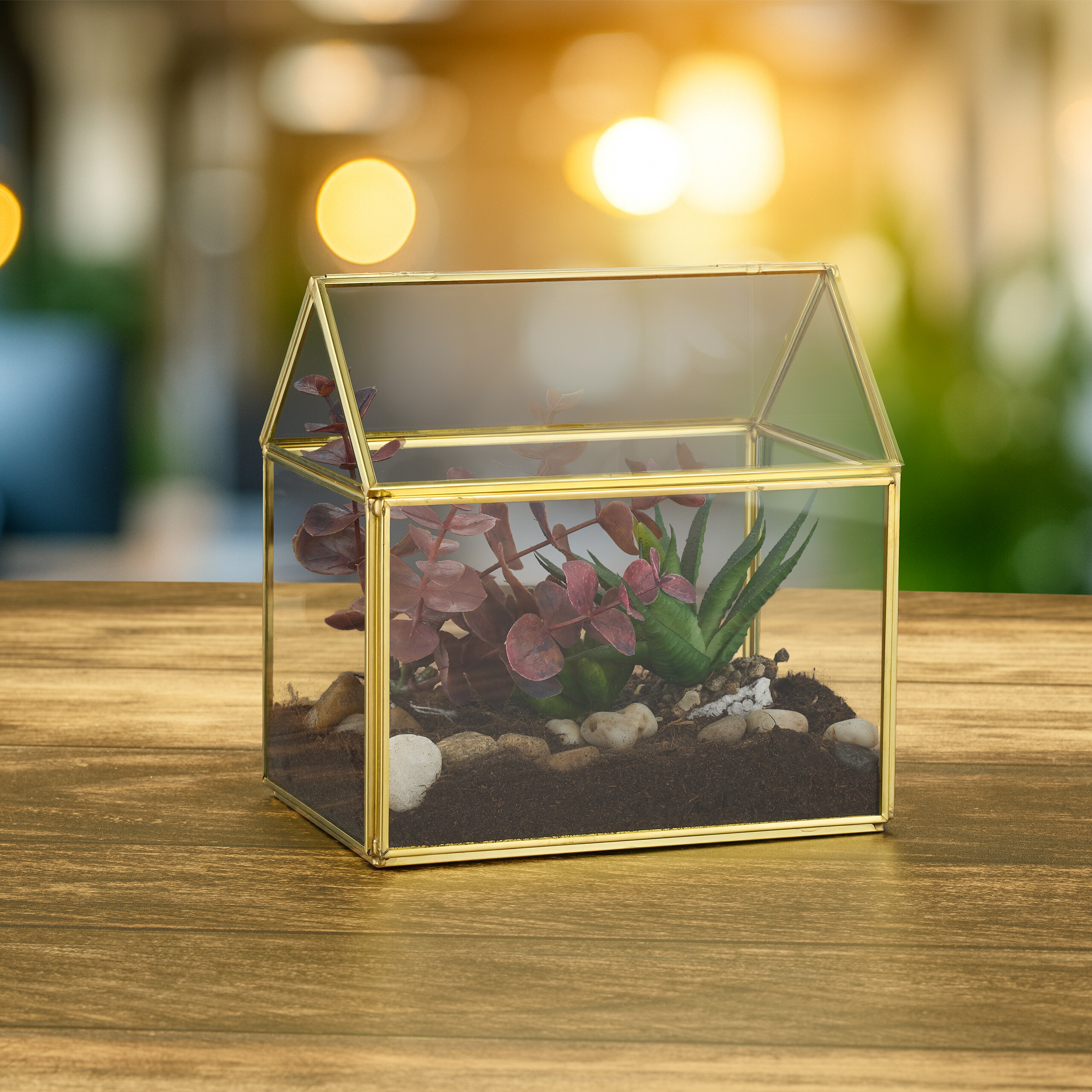 Ein hausförmiges Glasterrarium mit Messingkanten, Erde, Kieselsteinen und kleinen Pflanzen auf einem Holztisch.