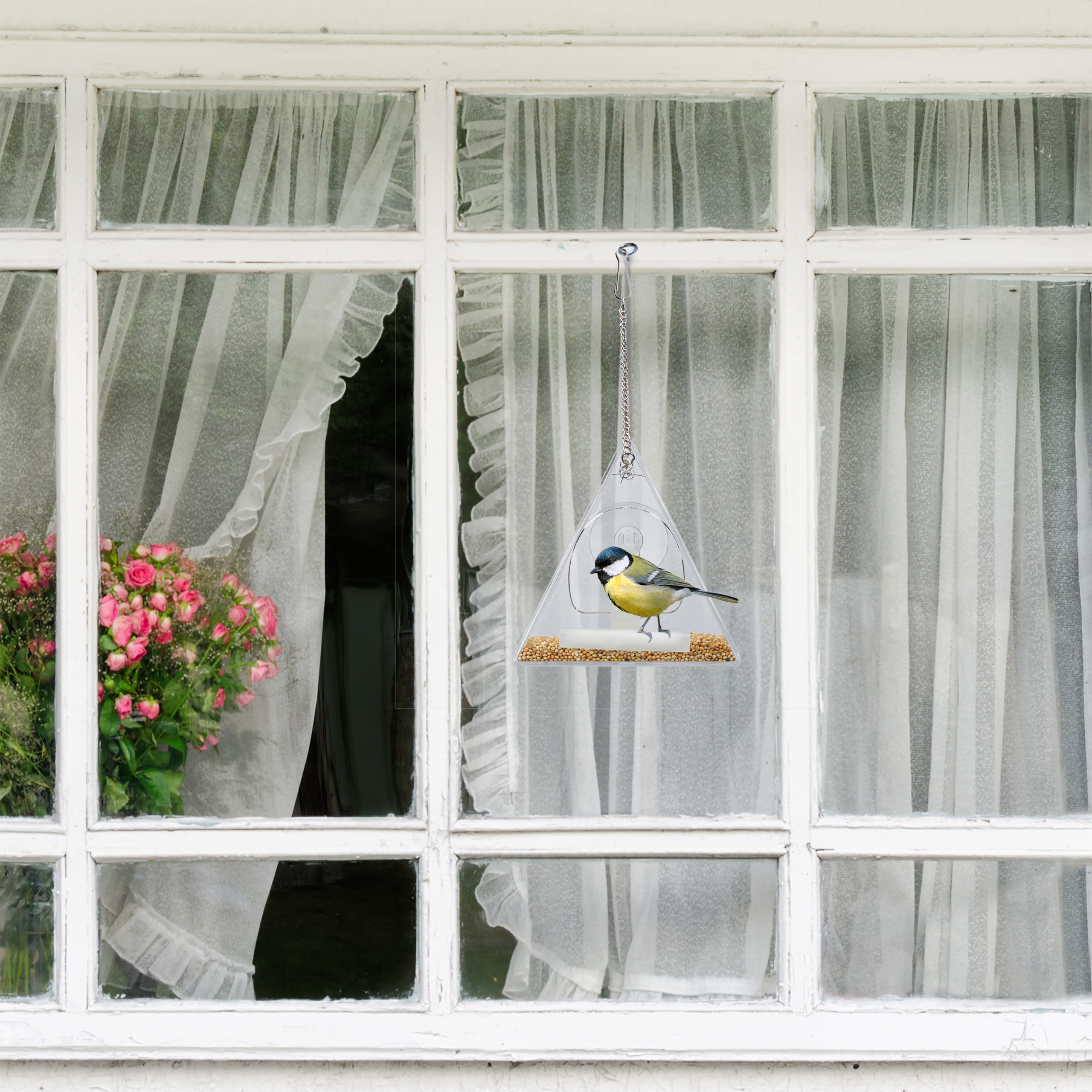 Eine Blaumeise sitzt in einem klaren, dreieckigen Futterhäuschen vor einem weißen Fenster mit weißen Vorhängen.