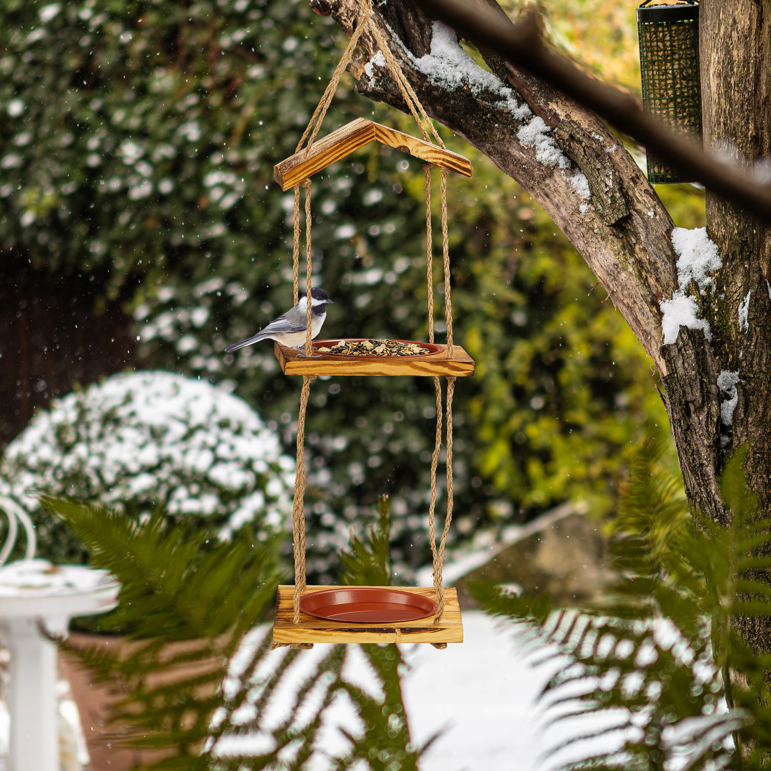 Ein schwarz-weißer Vogel sitzt auf einem hängenden Futterhäuschen im verschneiten Garten.